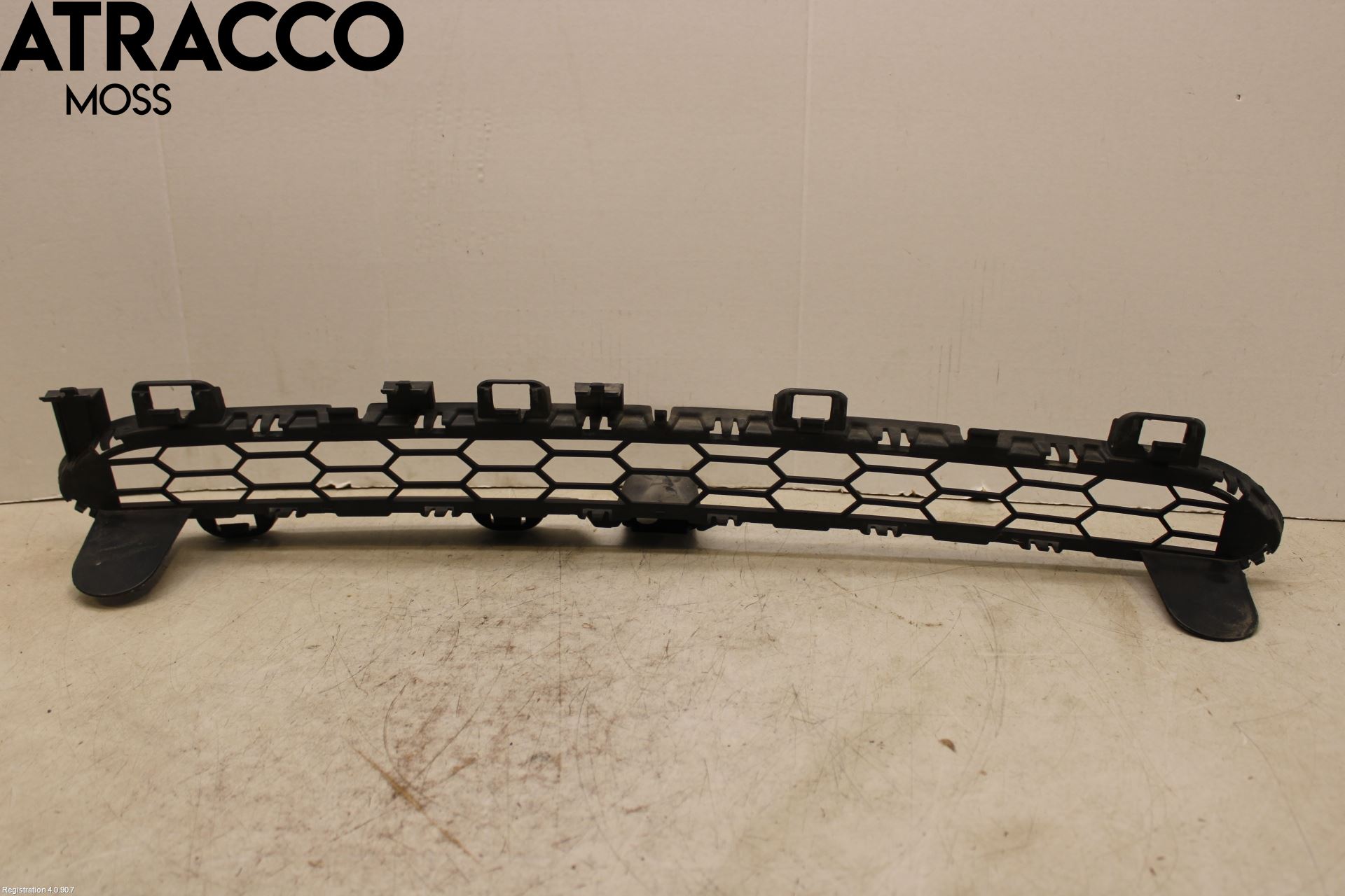 BMW X5 F15 13-18 Grill-Gitter