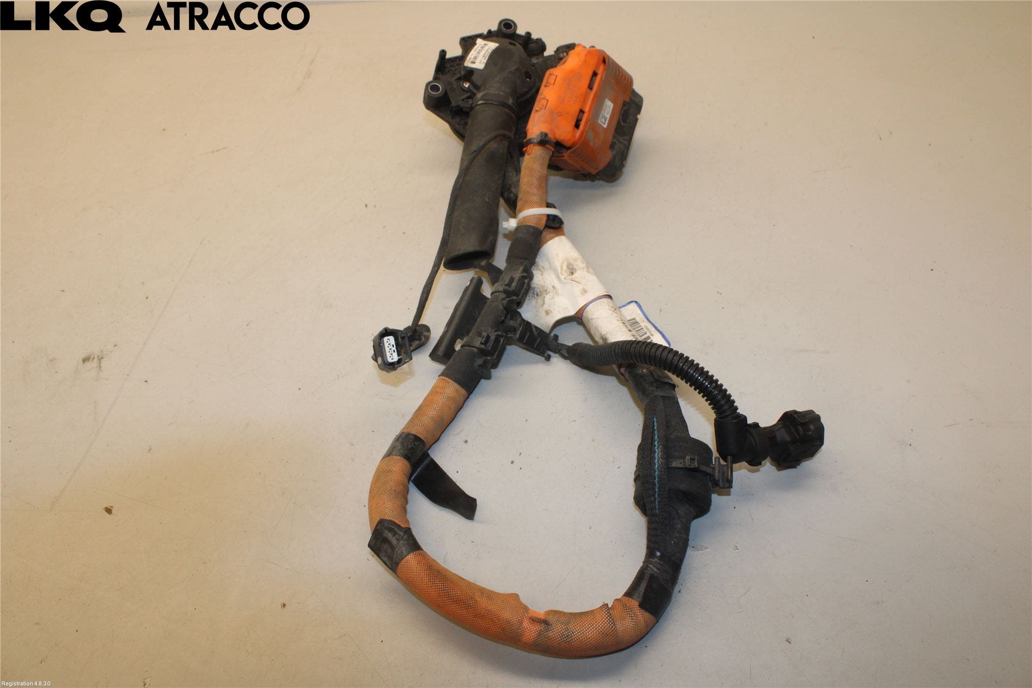 Renault ZOE/E-TECH 13- Ledningsnett