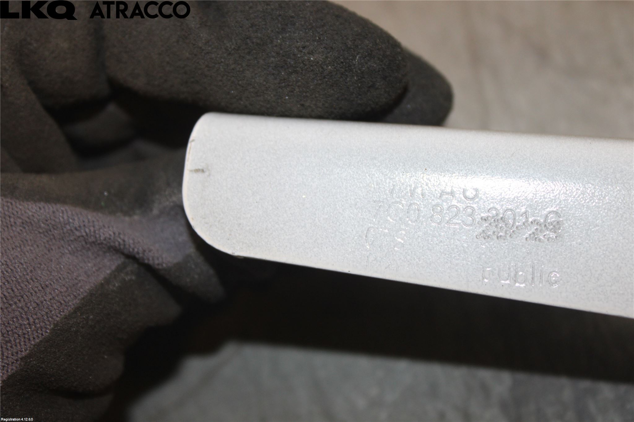 Maxus MAN TGE Panser Hengsel - Hengsler