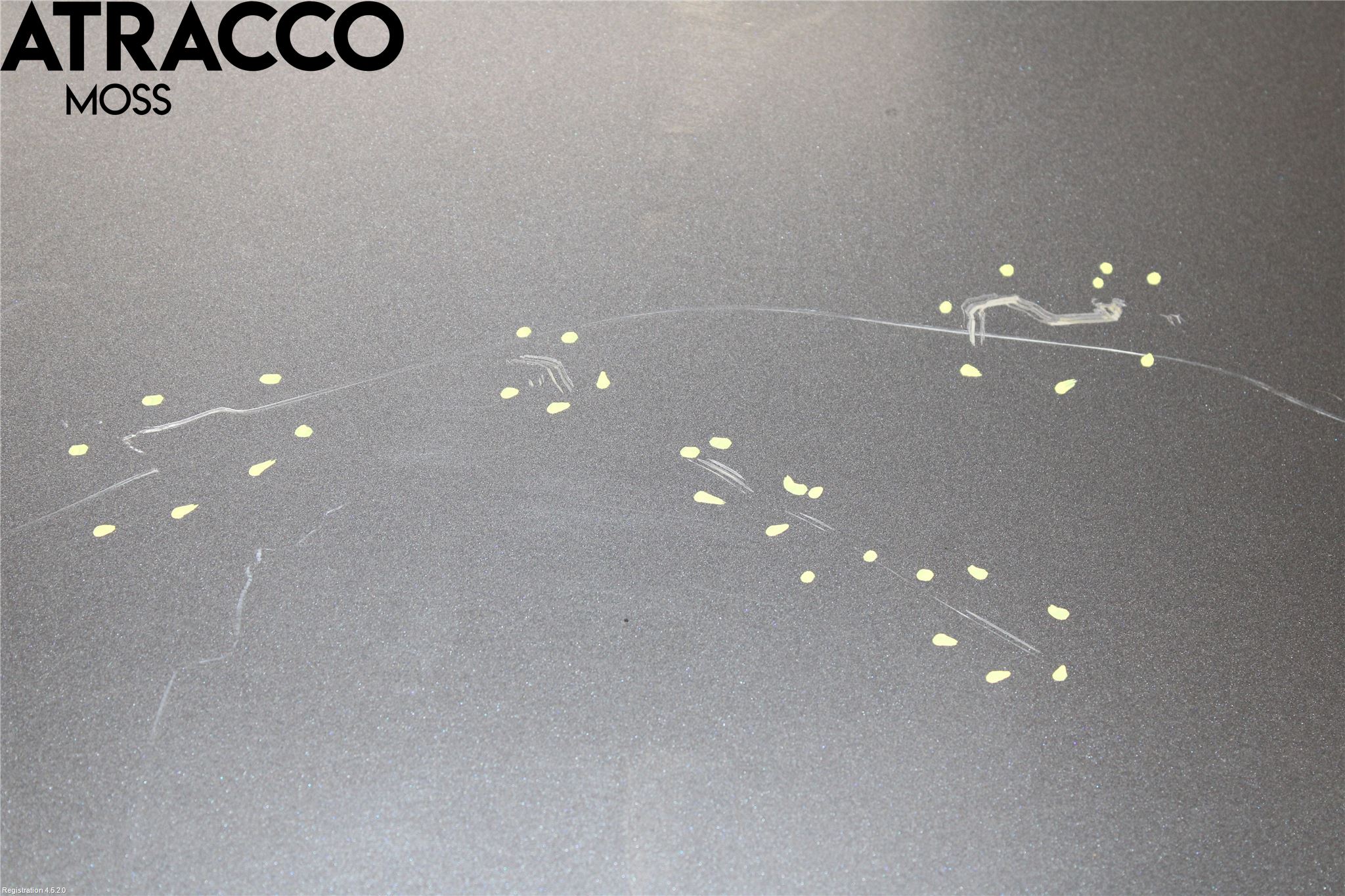 Toyota AVENSIS 09-15 Bakluke Koffertlokk