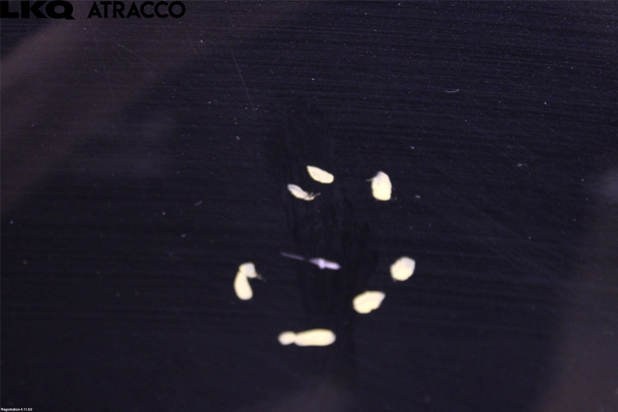 Audi A1/S1 11-18 Dør 4D Foran Høyre