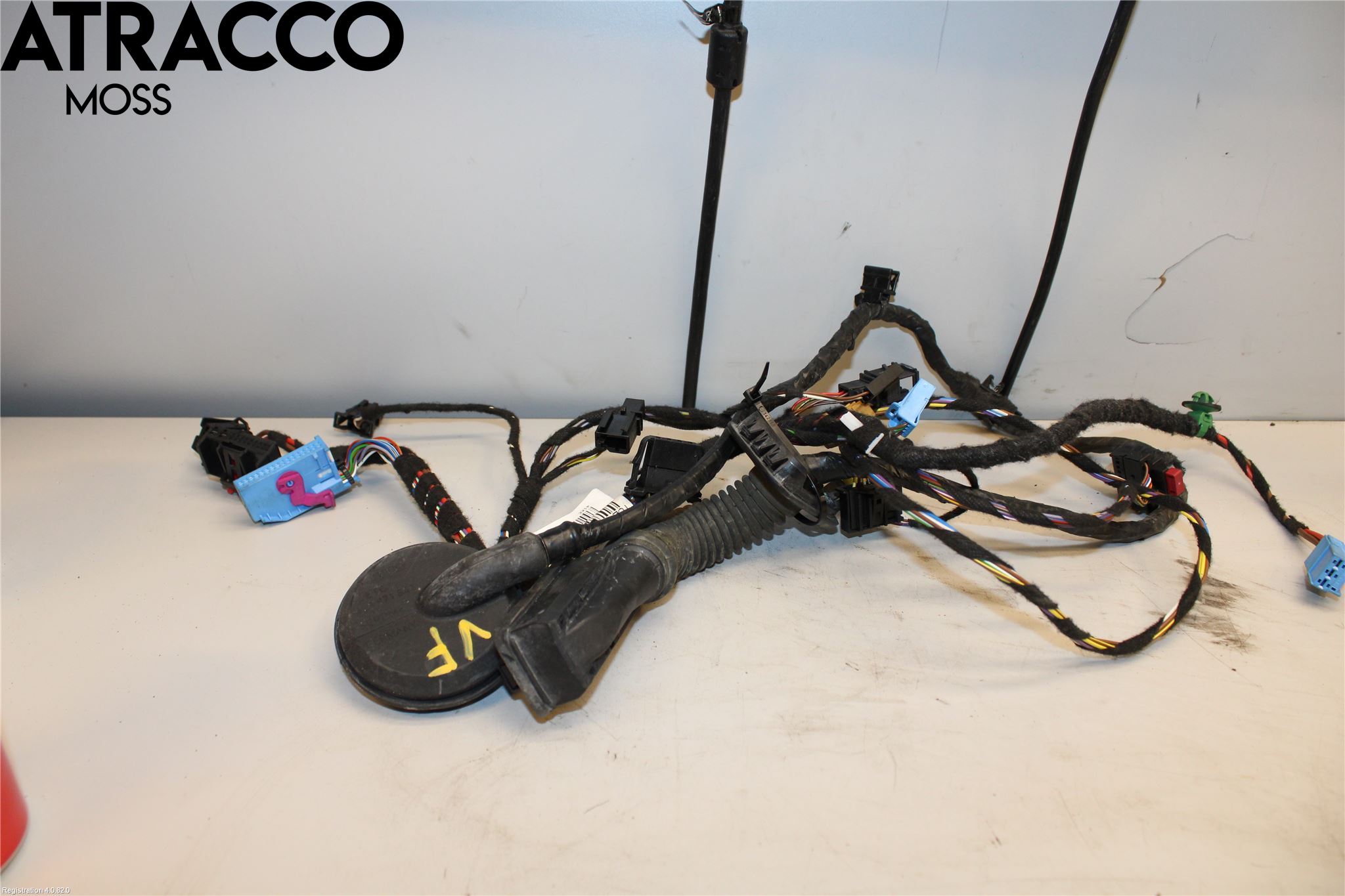 Volkswagen VW GOLF / E-GOLF VII 13-20 Ledningsnett