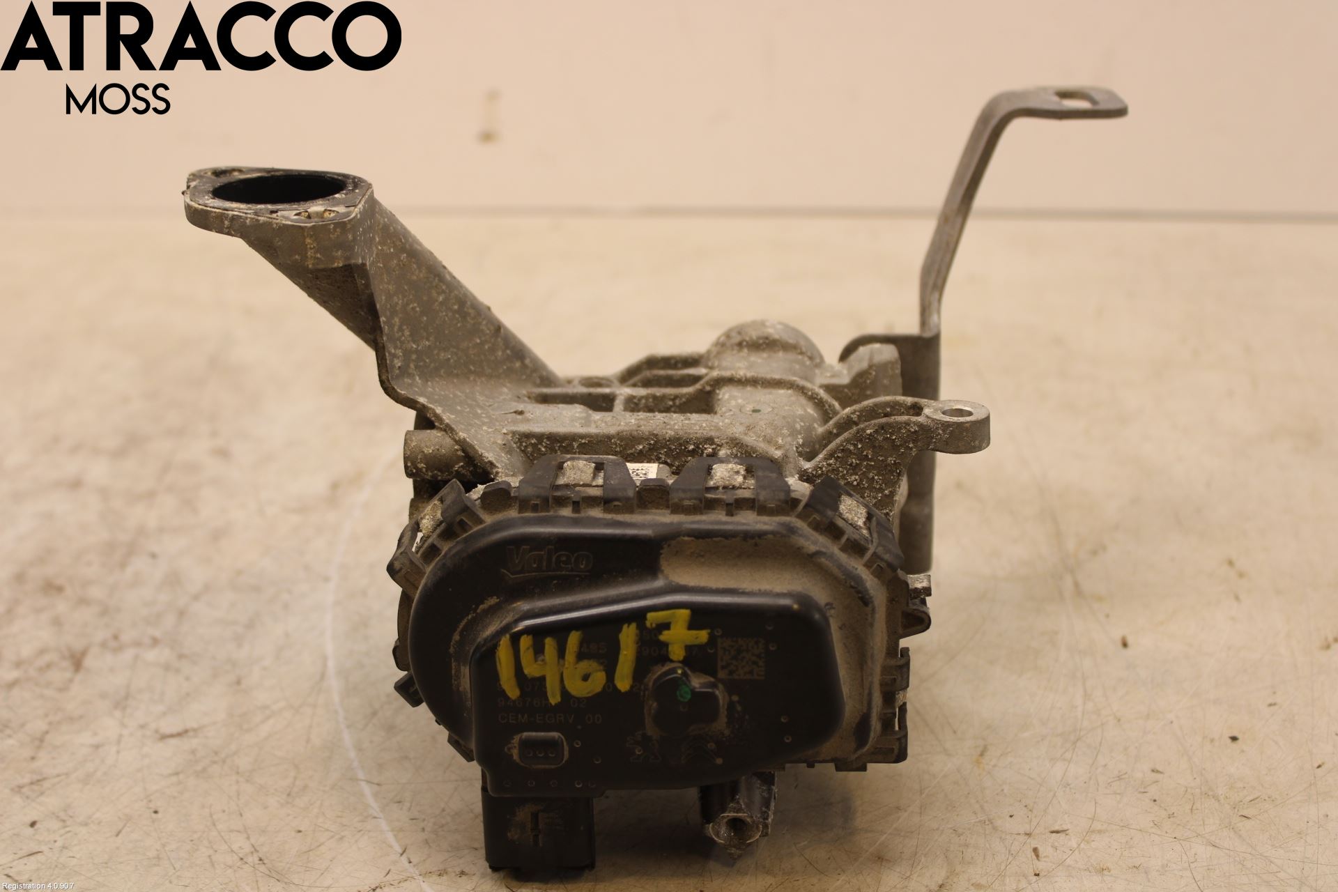 Peugeot 308 14-21 Egr Ventil