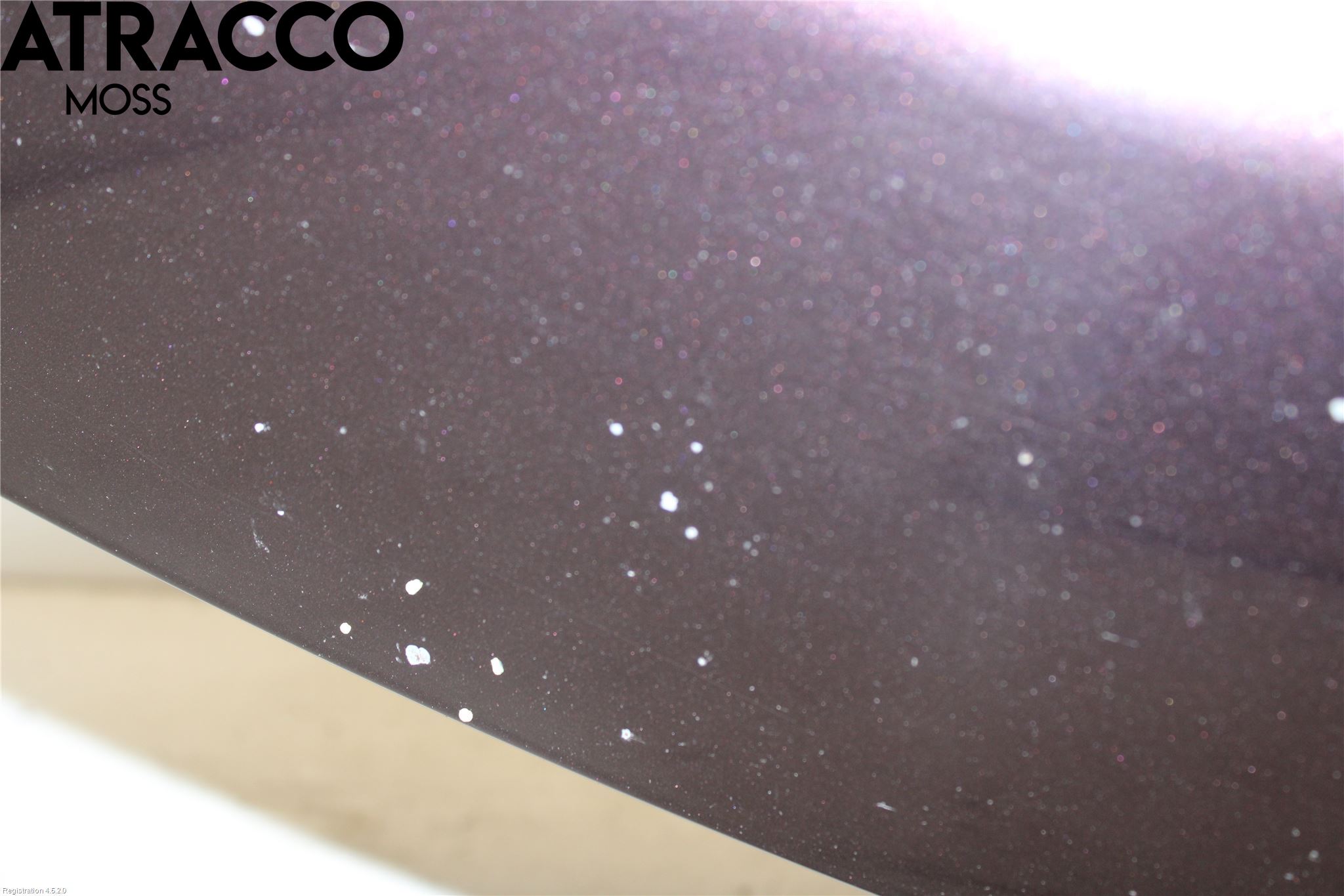 Toyota URBAN CRUISER Panser