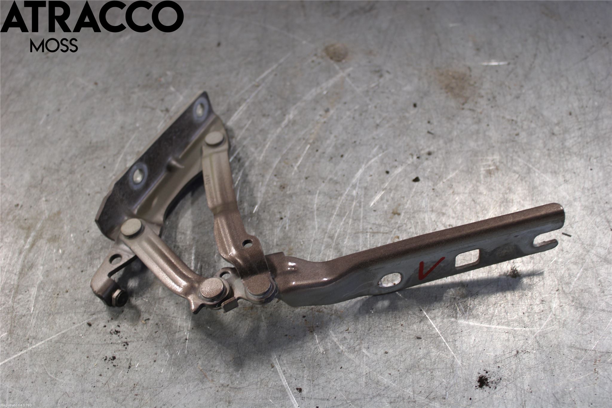 Volkswagen VW GOLF VI 09-13 Panser Hengsel - Hengsler