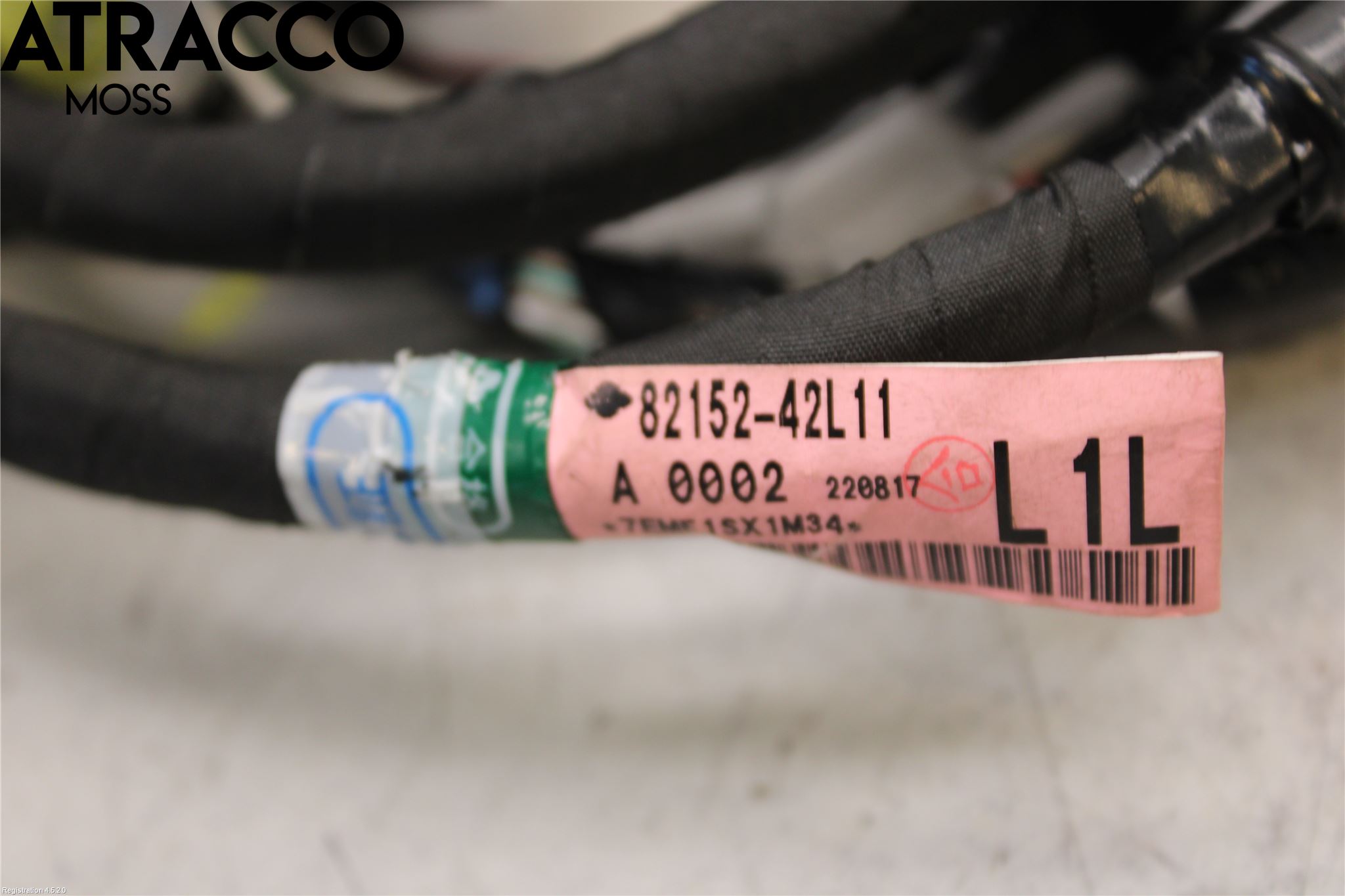 Toyota RAV4 19- Ledningsnett