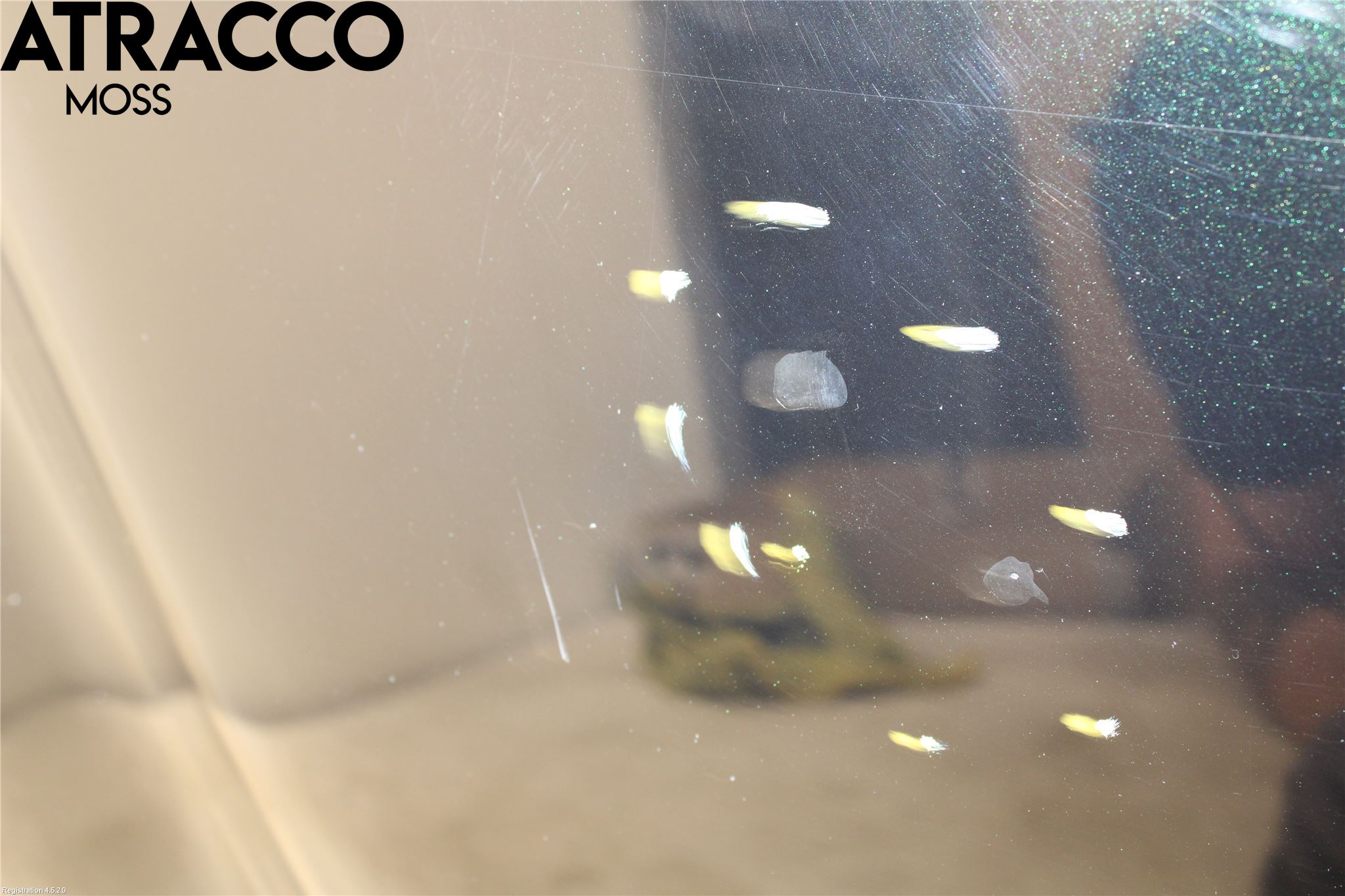 Mercedes-Benz MB E-KLASS (W211) 02-09 Panser