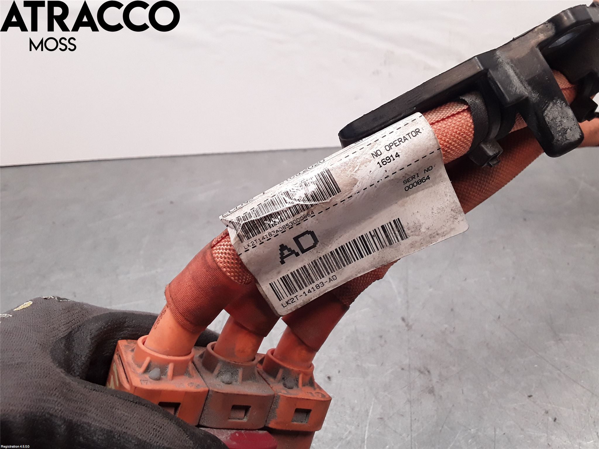 Ford TRANSIT/TOURNEO CUSTOM 13-24 Ledningsnett