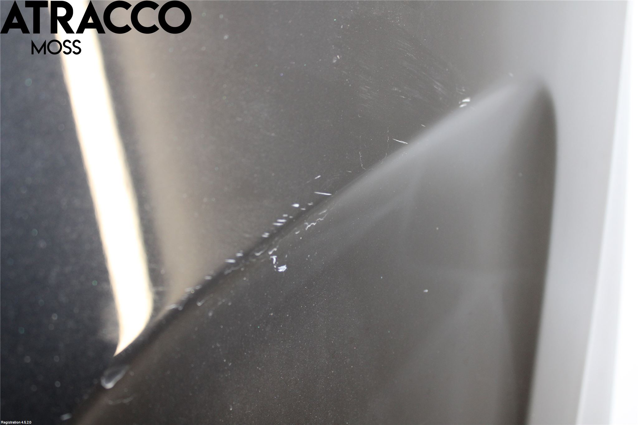 BMW X3 E83     03-10 Panser