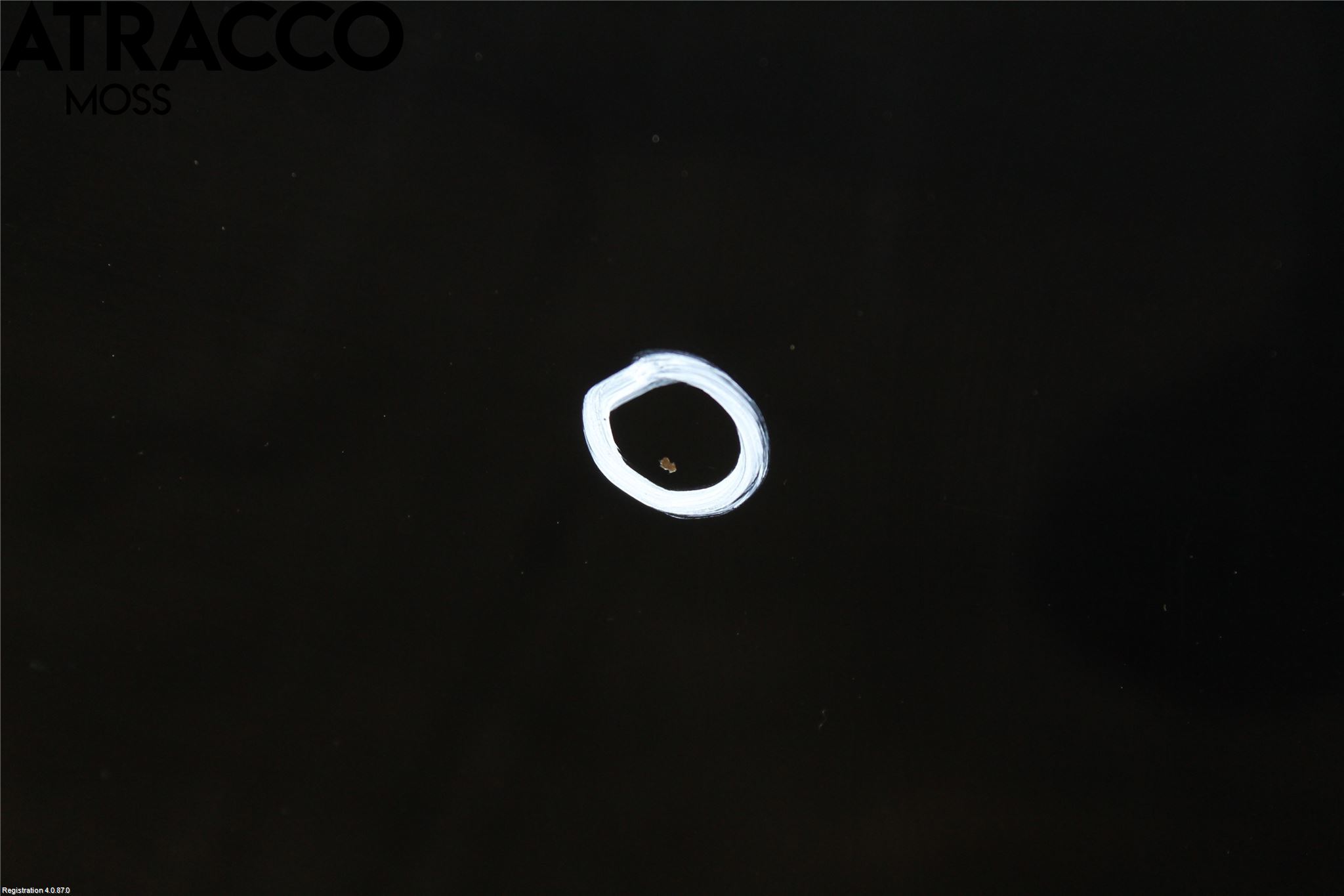 Nissan LEAF 11-17 Dør 4D Bak Venstre