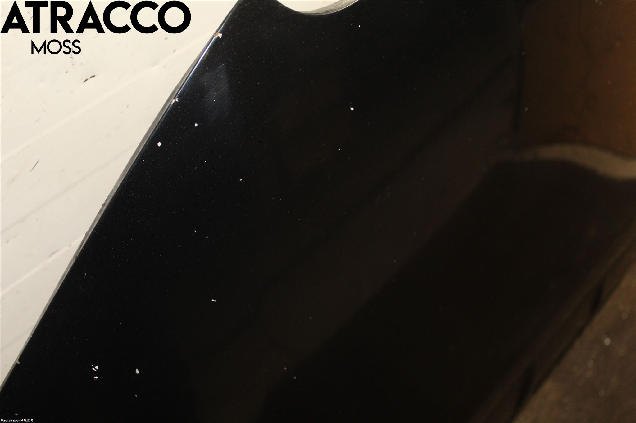 Nissan LEAF 11-17 Panser