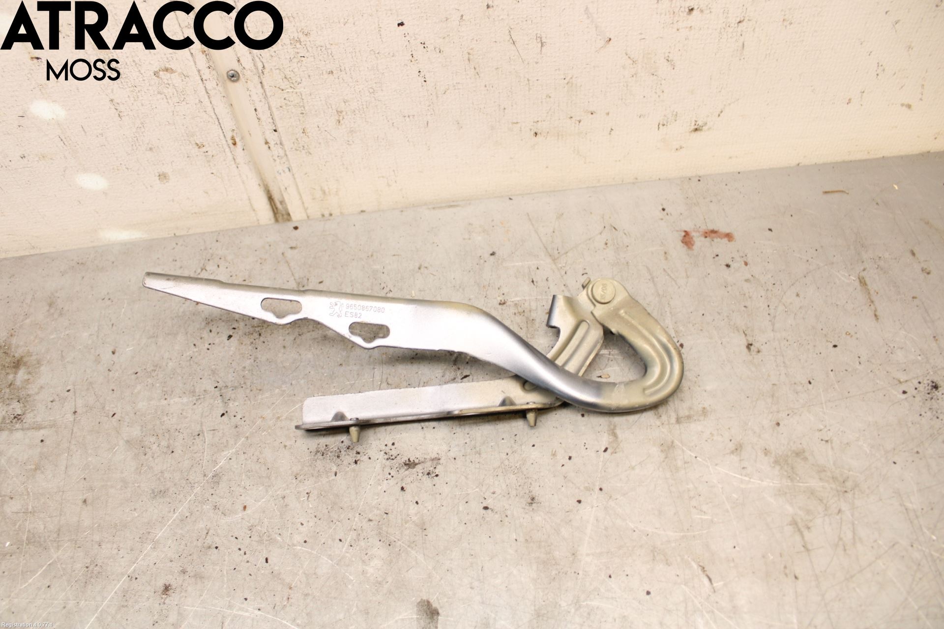 Peugeot 207 Panser Hengsel - Hengsler