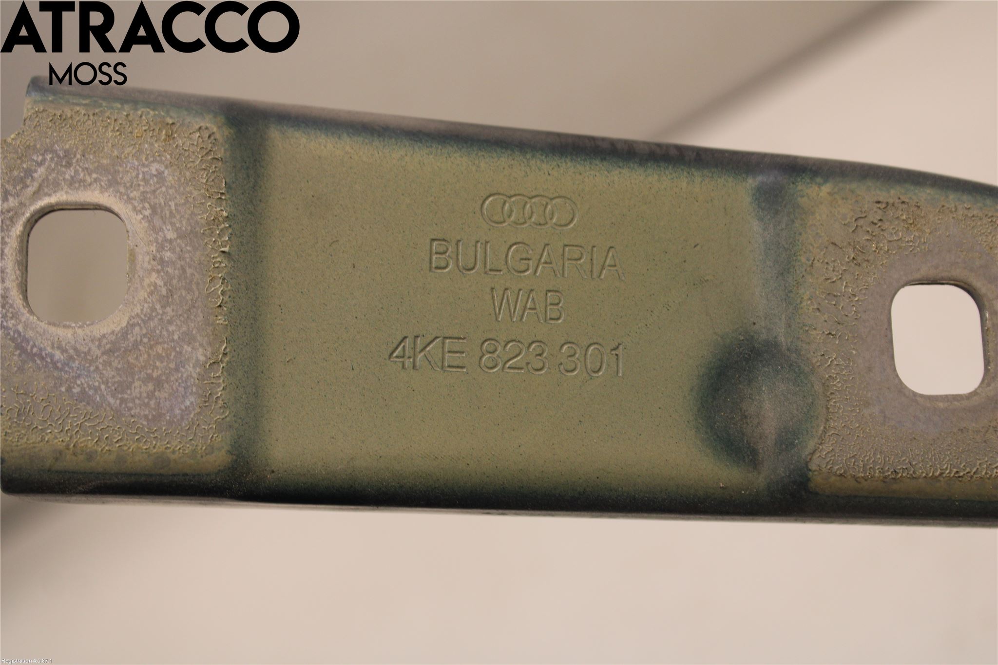 Audi E-TRON, S GE 19- Panser Hengsel - Hengsler