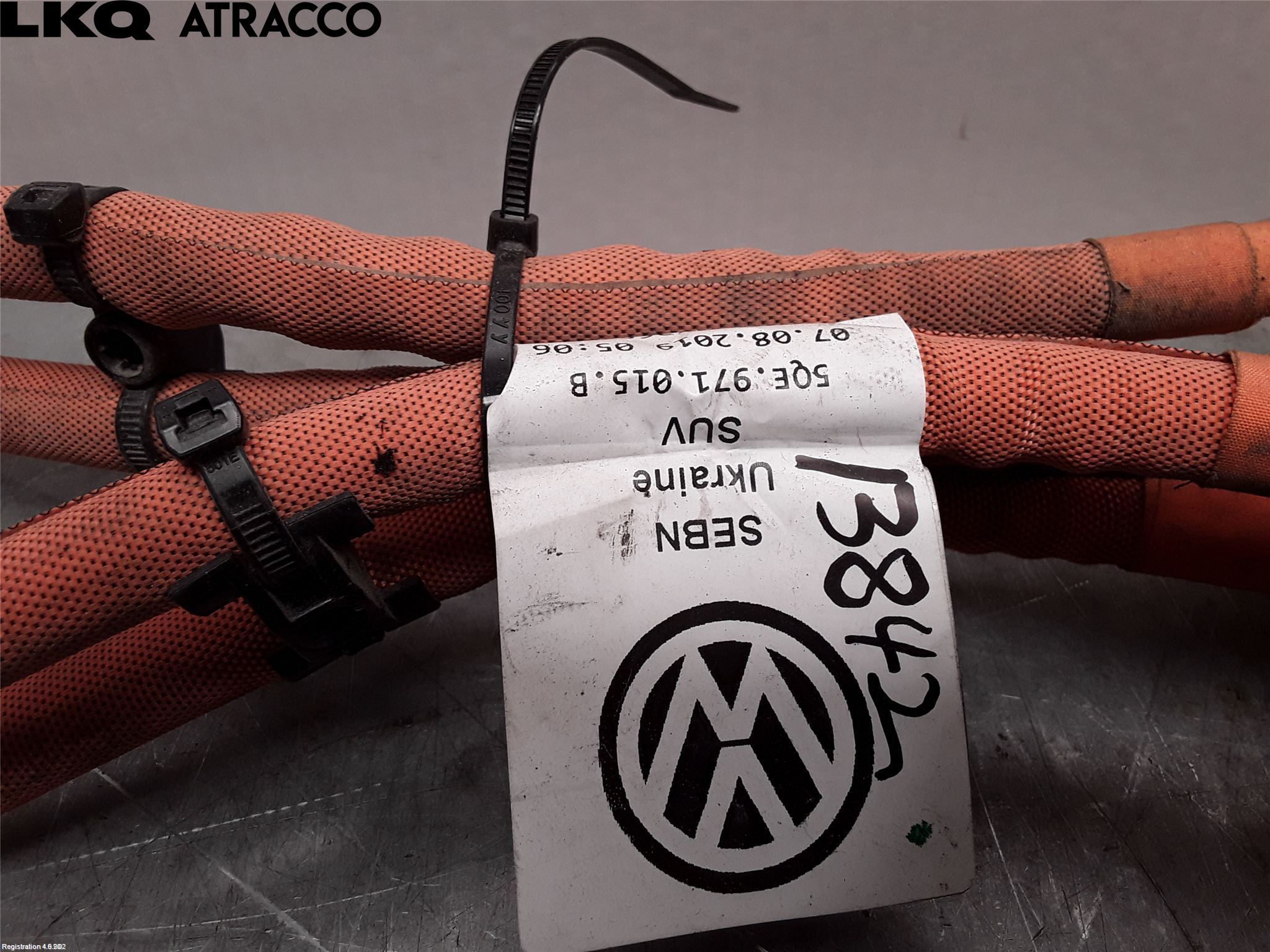 Volkswagen VW GOLF / E-GOLF VII 13-20 Ledningsnett