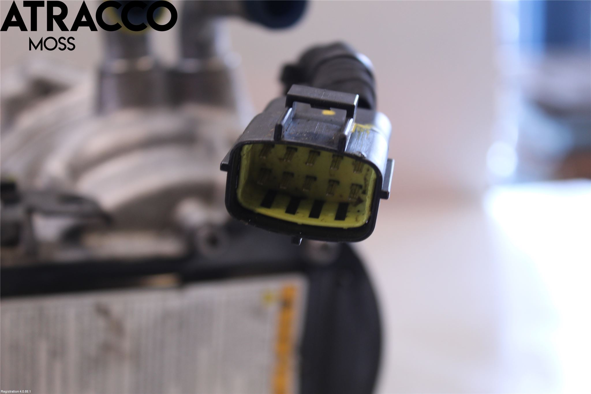 Kia CEED/CEED SW 19- Dynamo