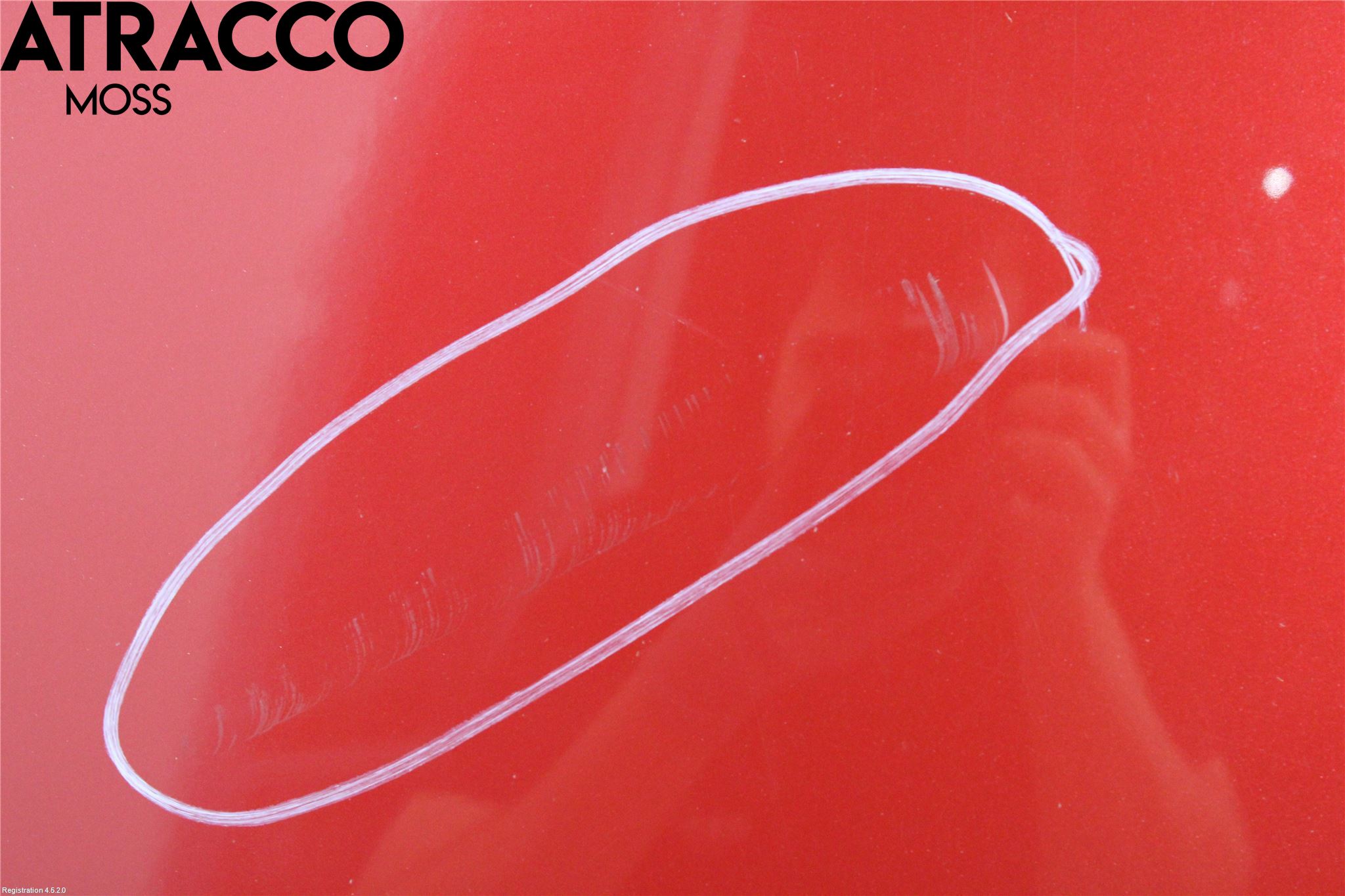 Toyota PRIUS ZVW30 09-20 Panser