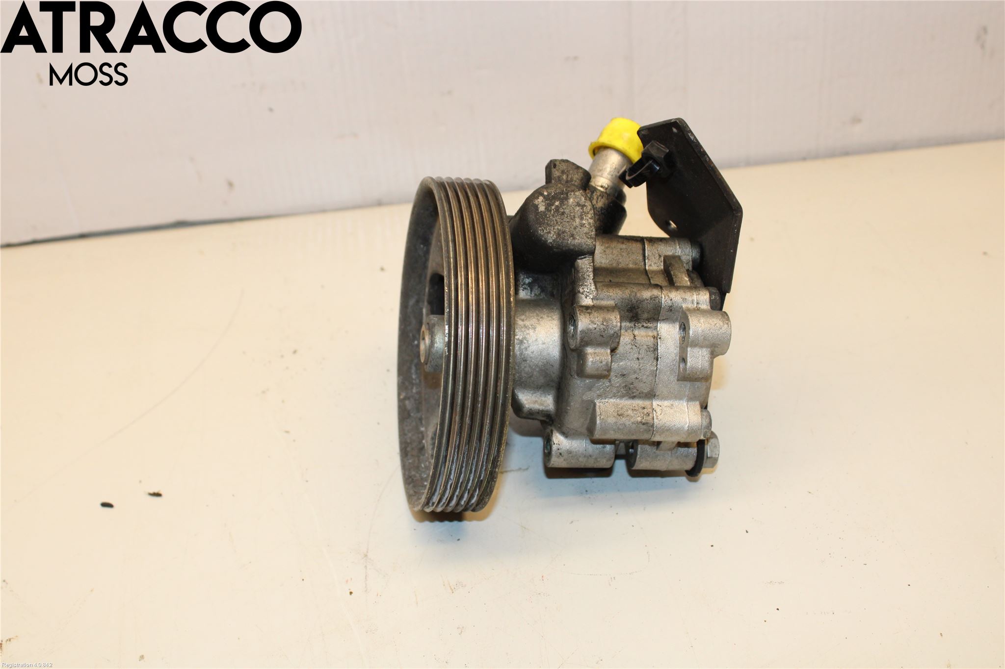 Peugeot PARTNER 08-15 Servo Pumpe