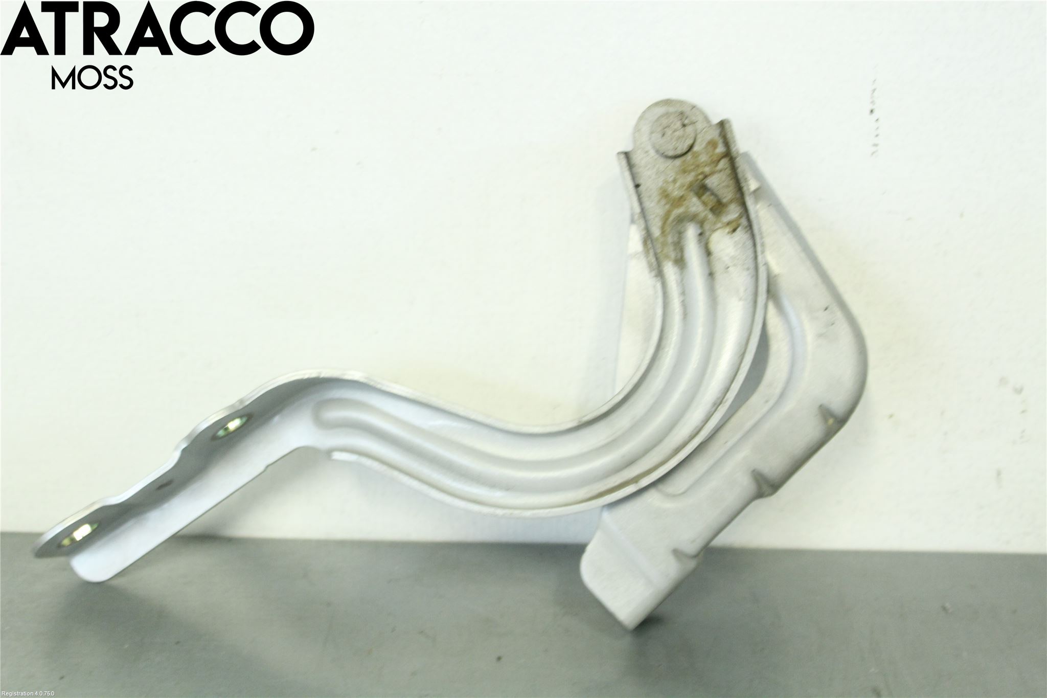 Hyundai IONIQ AE 17-22 Panser Hengsel - Hengsler