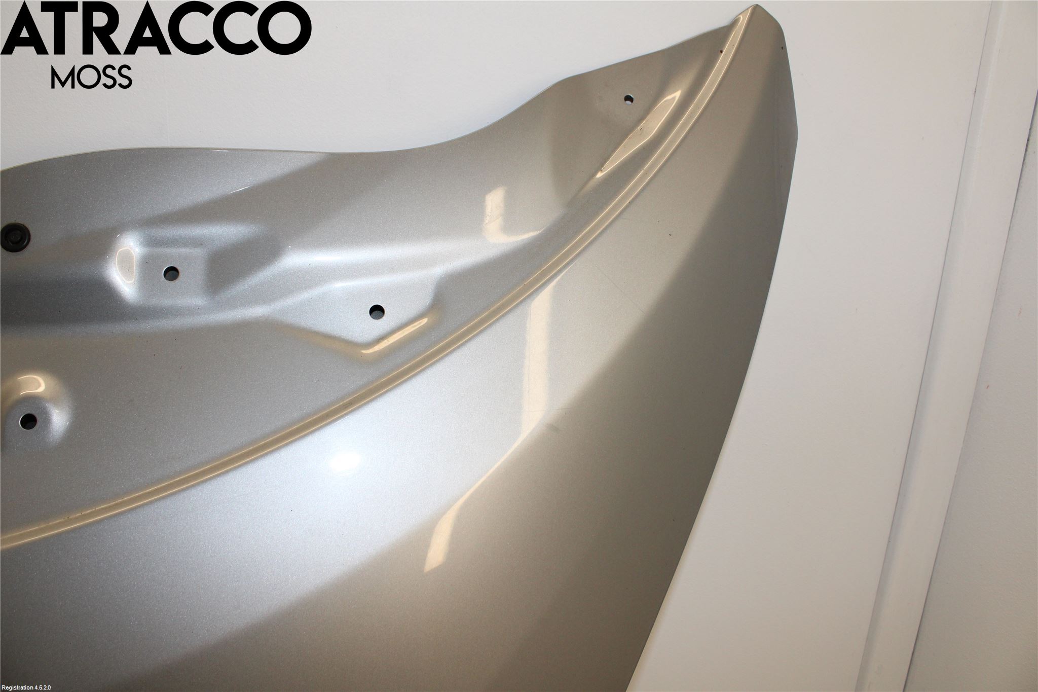 Nissan LEAF 11-17 Panser