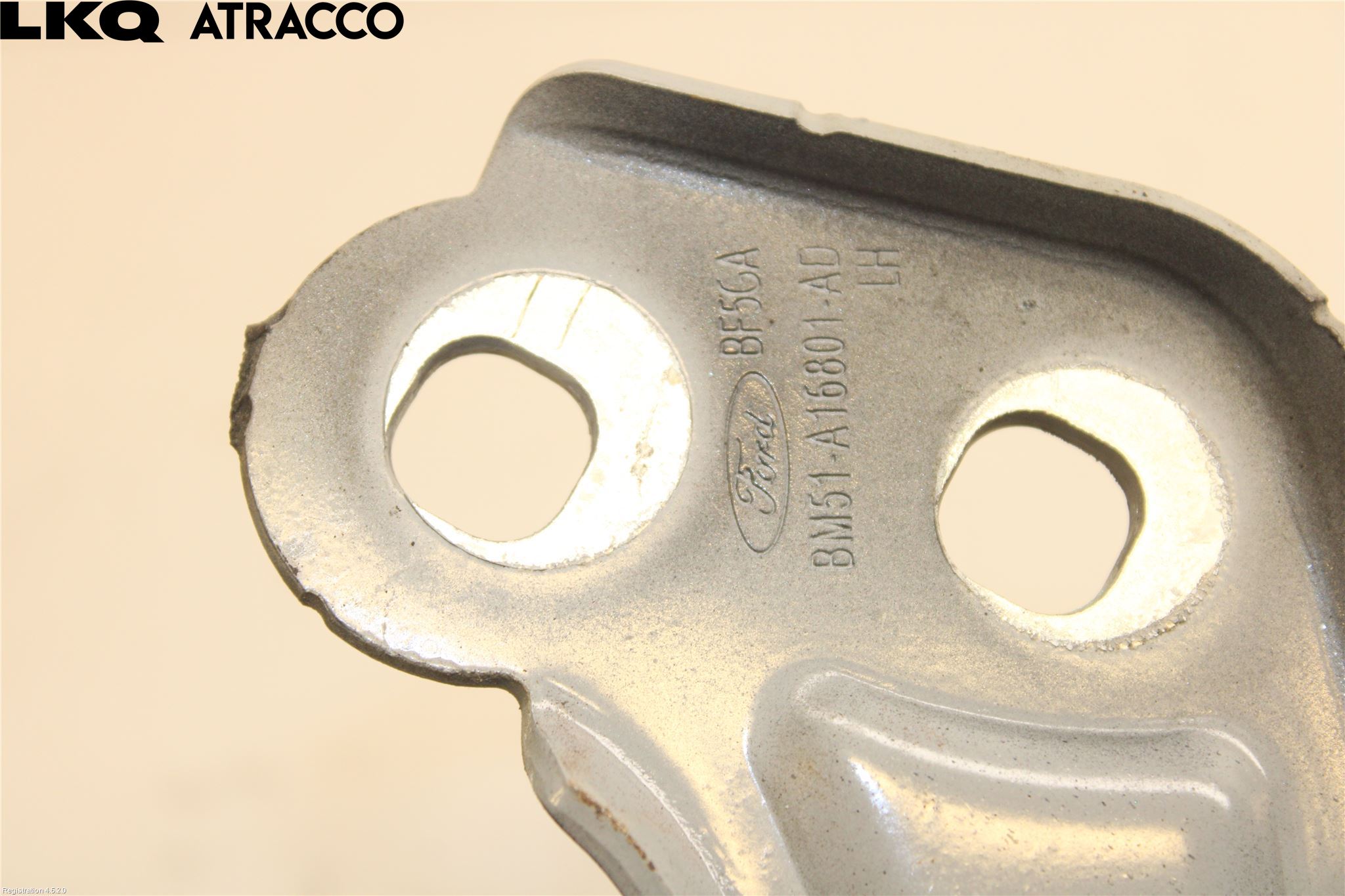 Ford FOCUS 11-14 Panser Hengsel - Hengsler