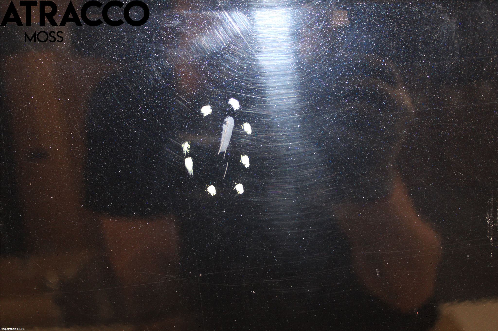 Ford FOCUS 08-11 Dør 4D Bak Høyre