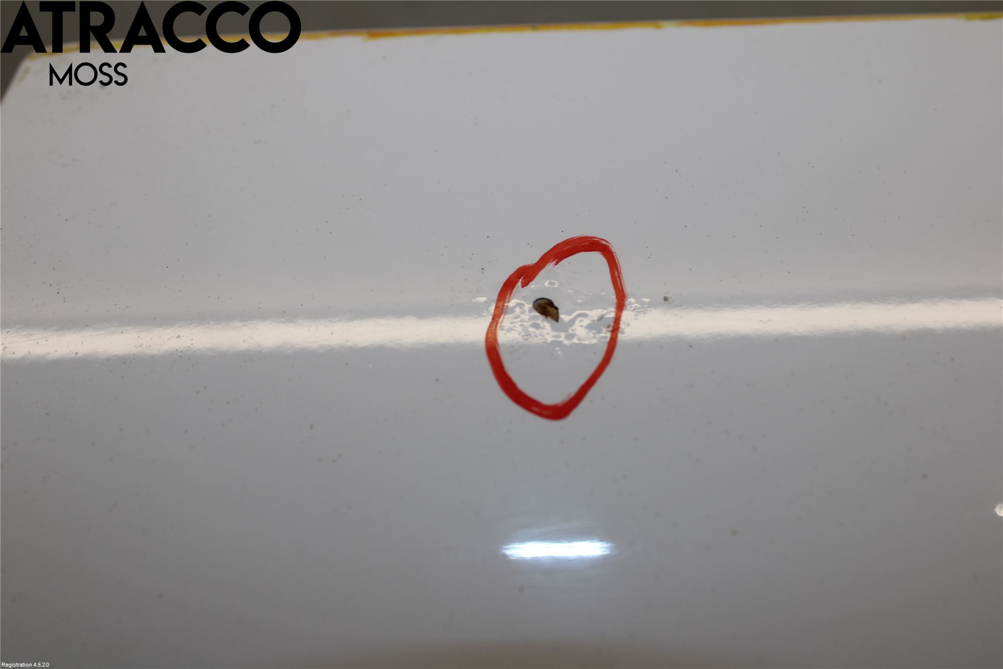 Ford TRANSIT CONNECT 03-08 Dør Bak Van - Vare Høyre