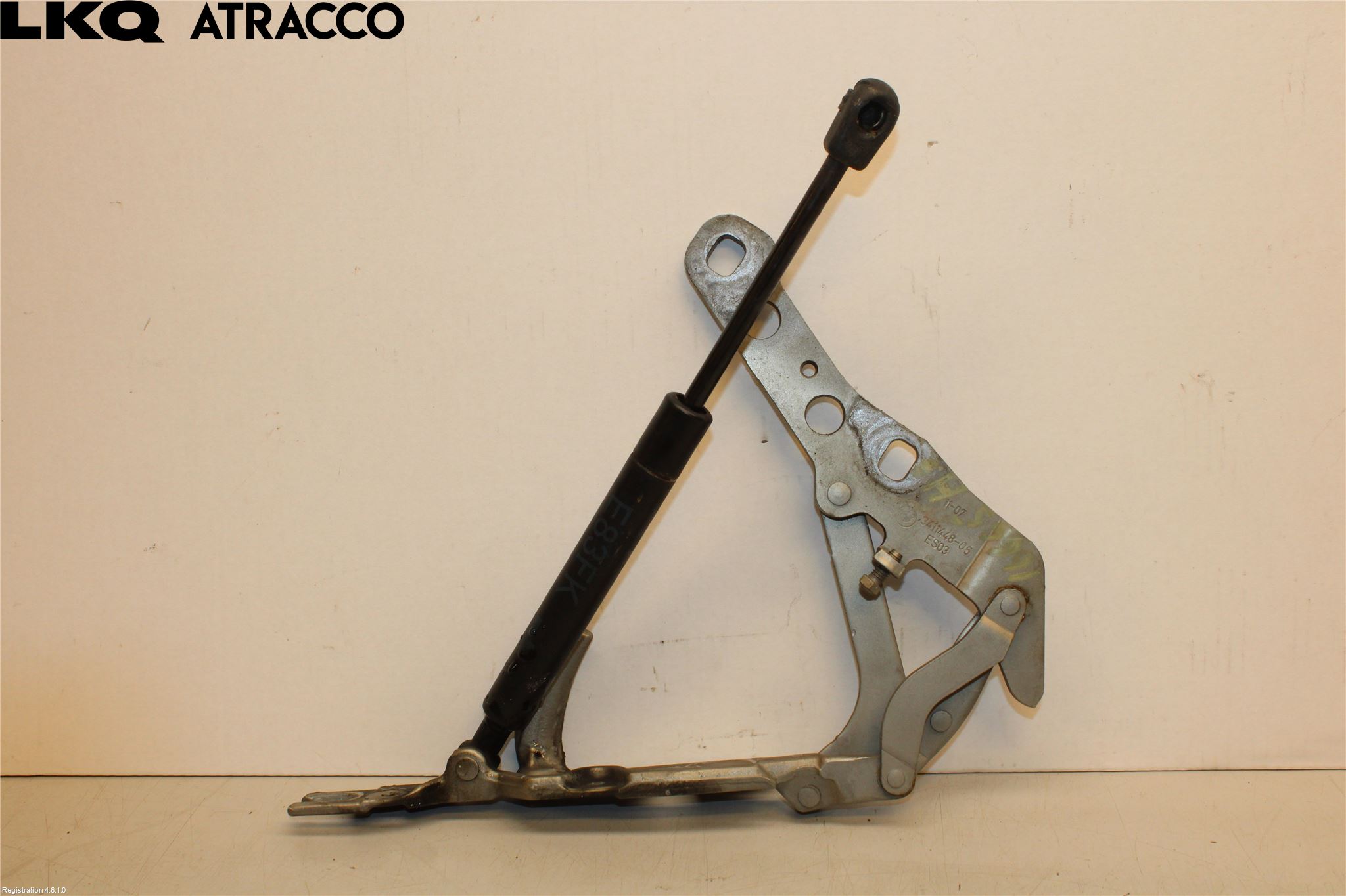 BMW X3 E83     03-10 Panser Hengsel - Hengsler