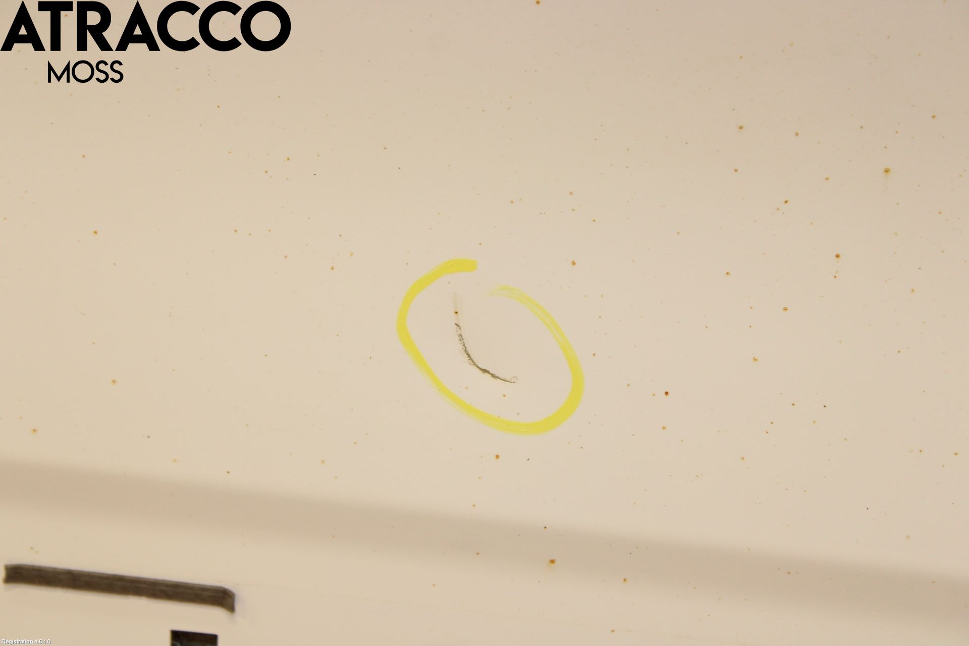 Hyundai IONIQ AE 17-22 Dør 4D Foran Høyre