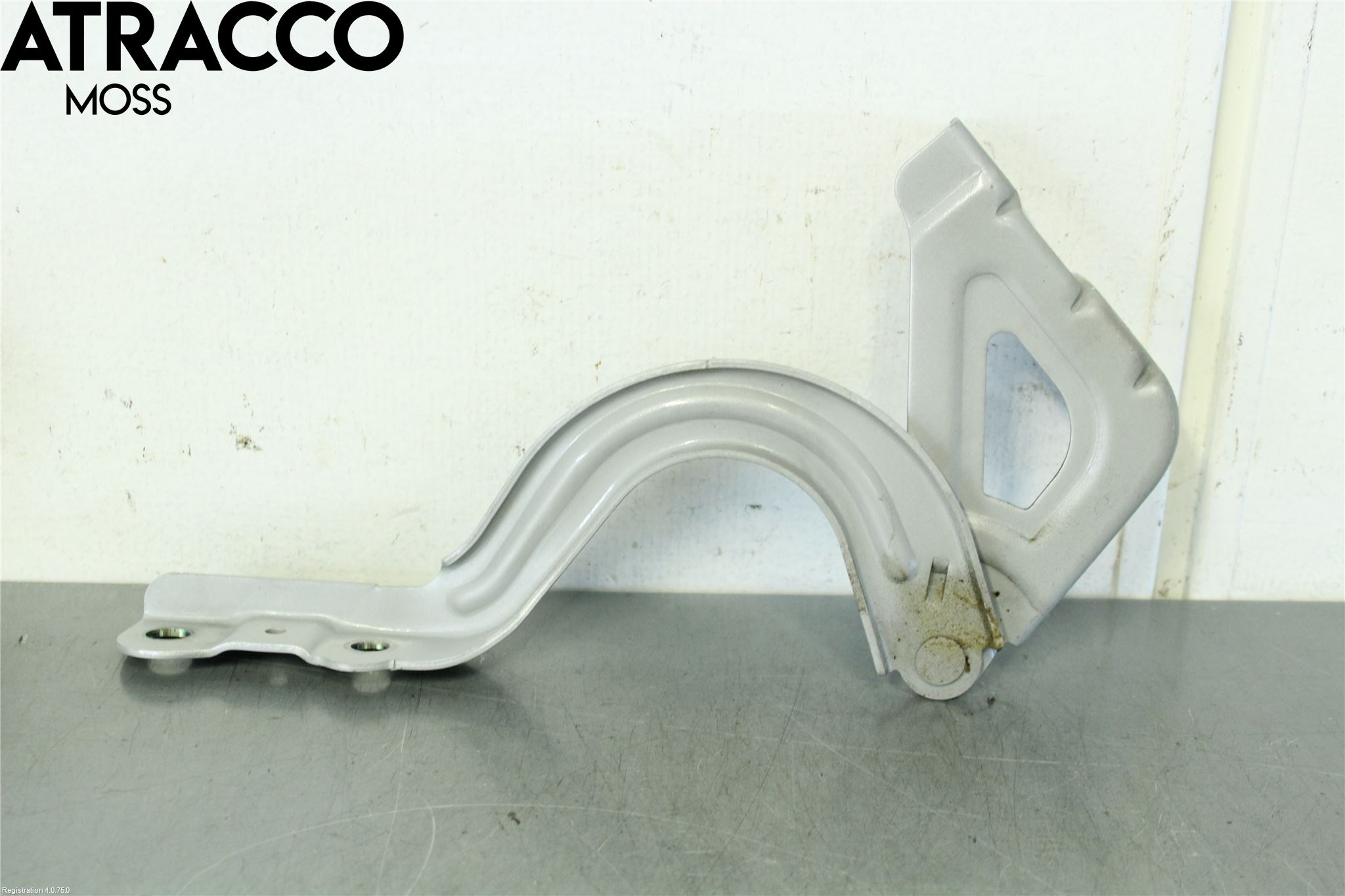 Hyundai IONIQ AE 17-22 Panser Hengsel - Hengsler