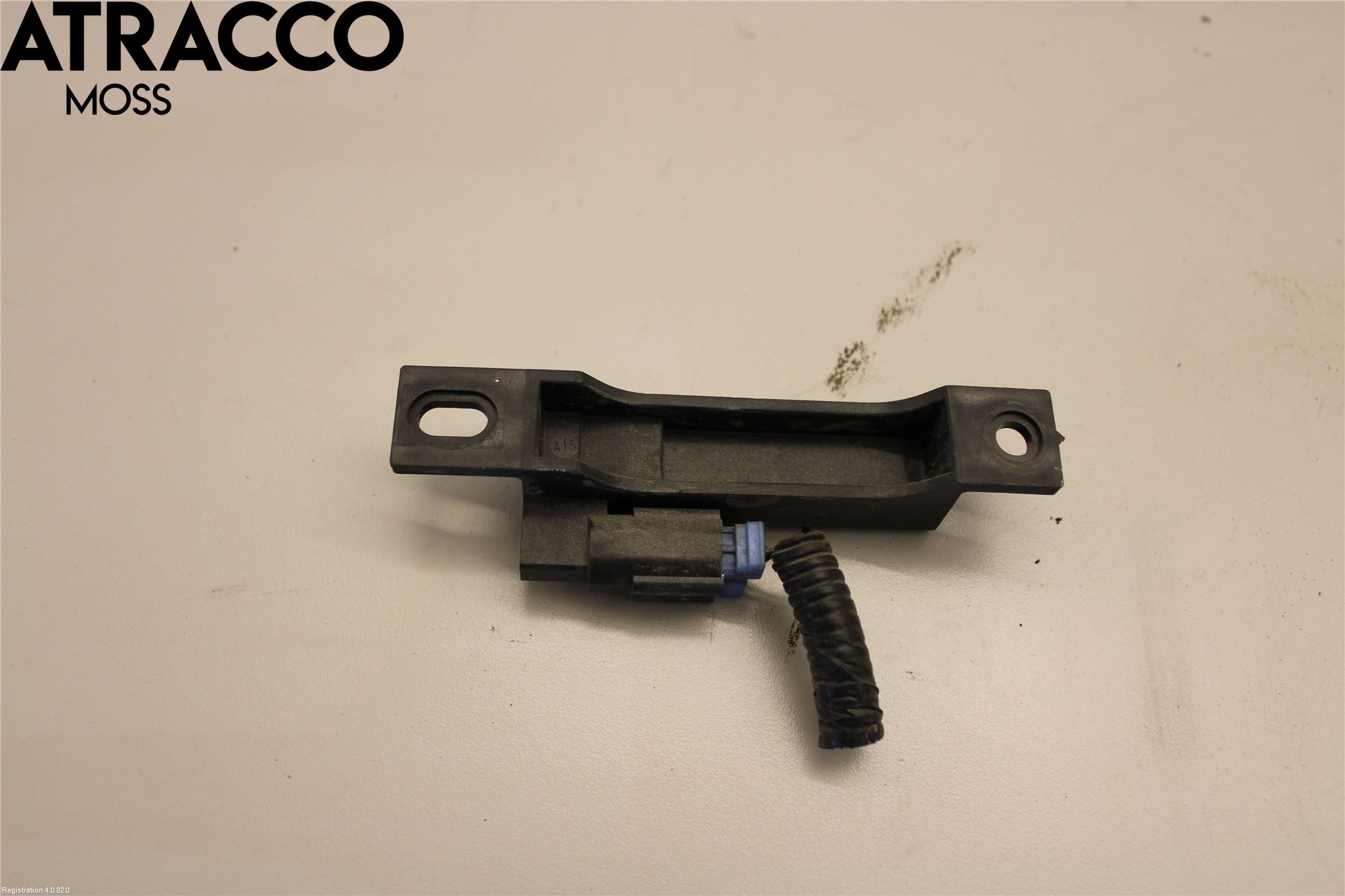 Nissan LEAF 18- Stereo Antenne Radio-Tv