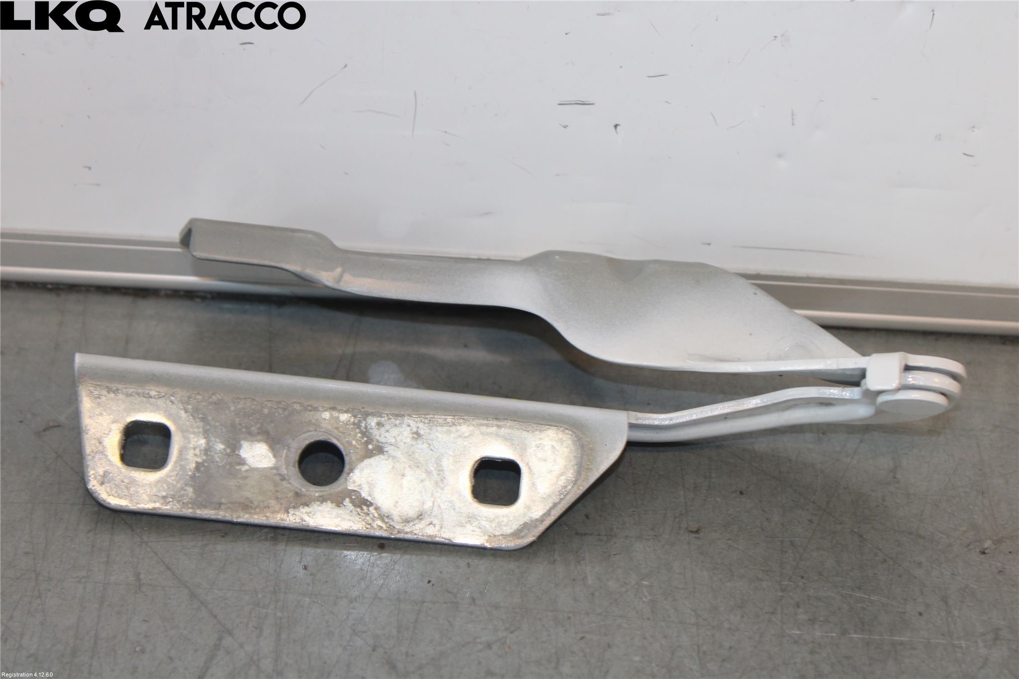 Maxus MAN TGE Panser Hengsel - Hengsler