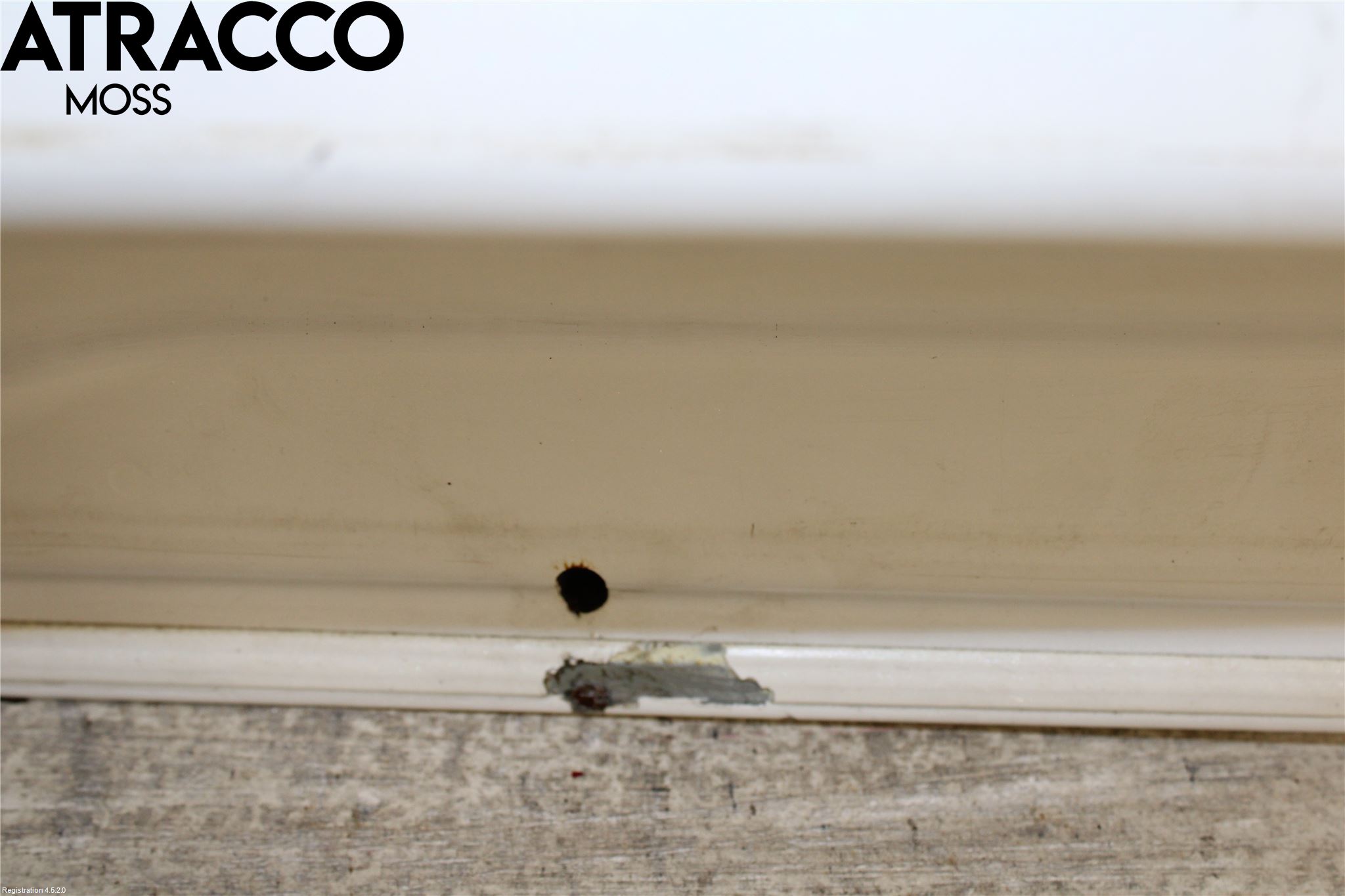 Toyota PRIUS+ ZVW40 12-20 Bakluke Cc - Kombi