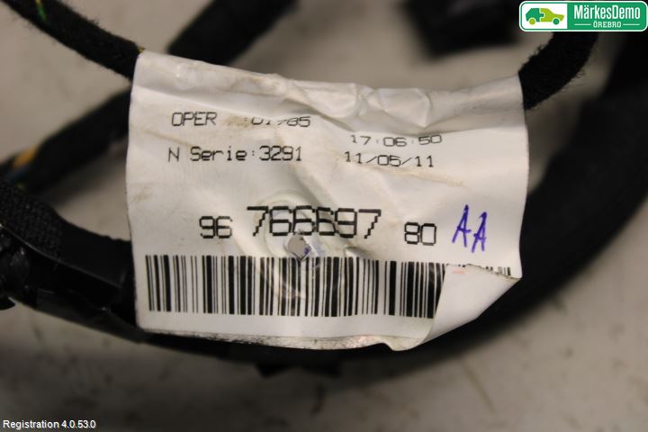 Peugeot 508 11-18 Ledningsnett