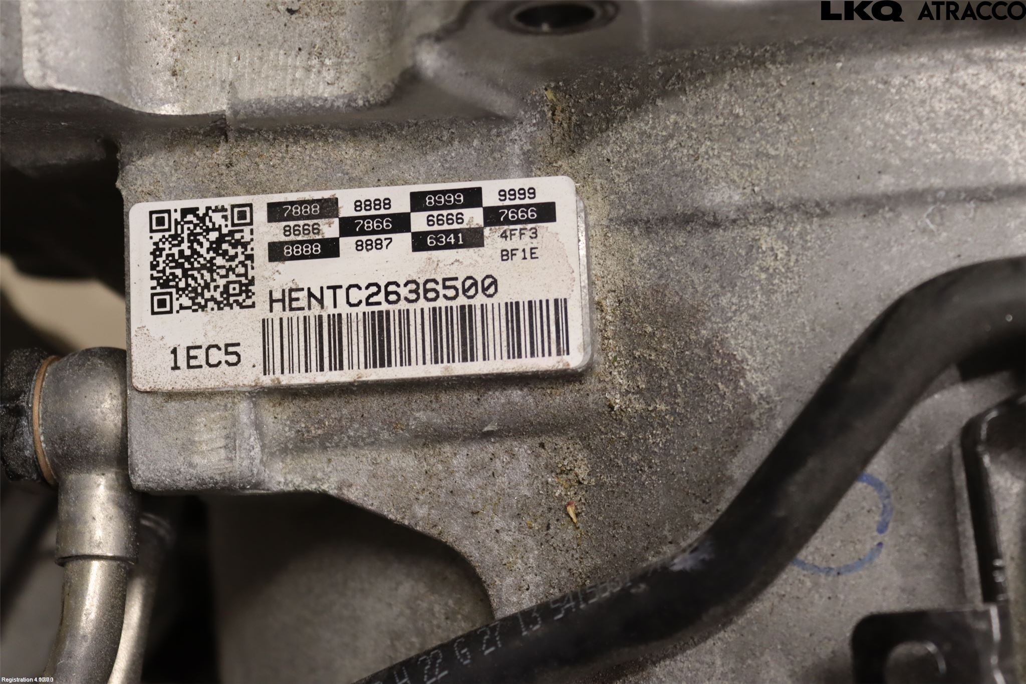 Kia SPORTAGE (NQ5) 22- Gearkasse Automat