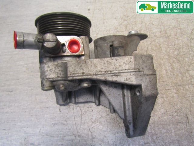Fiat DUCATO 07-15 Servo Pumpe