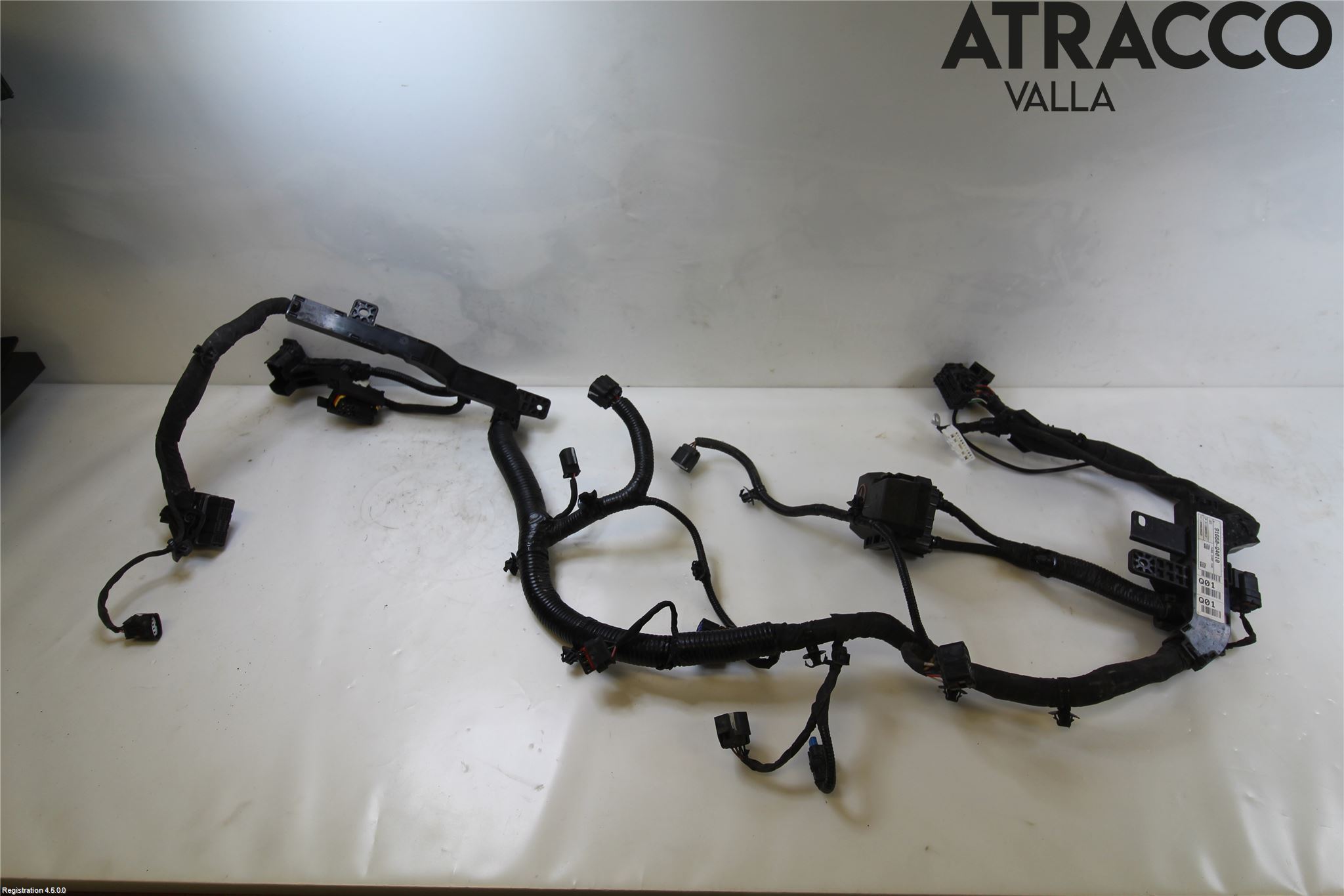 Kia NIRO (DE) 17-22 Ledningsnett
