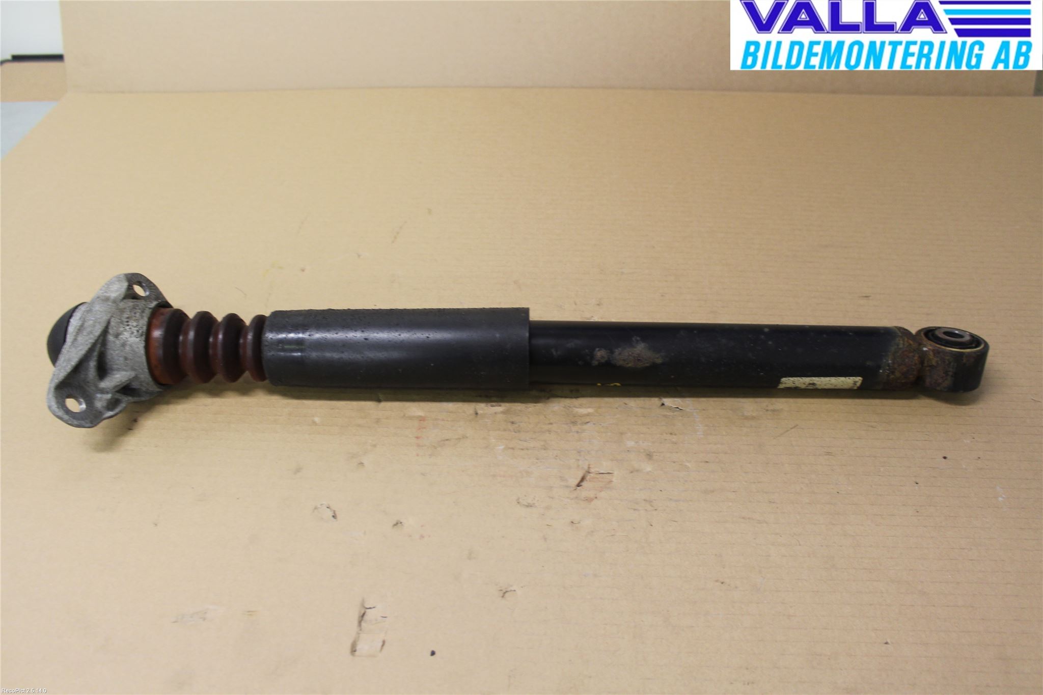 Volkswagen VW GOLF PLUS/CROSS GOLF 04-14 Støtdemper Bak