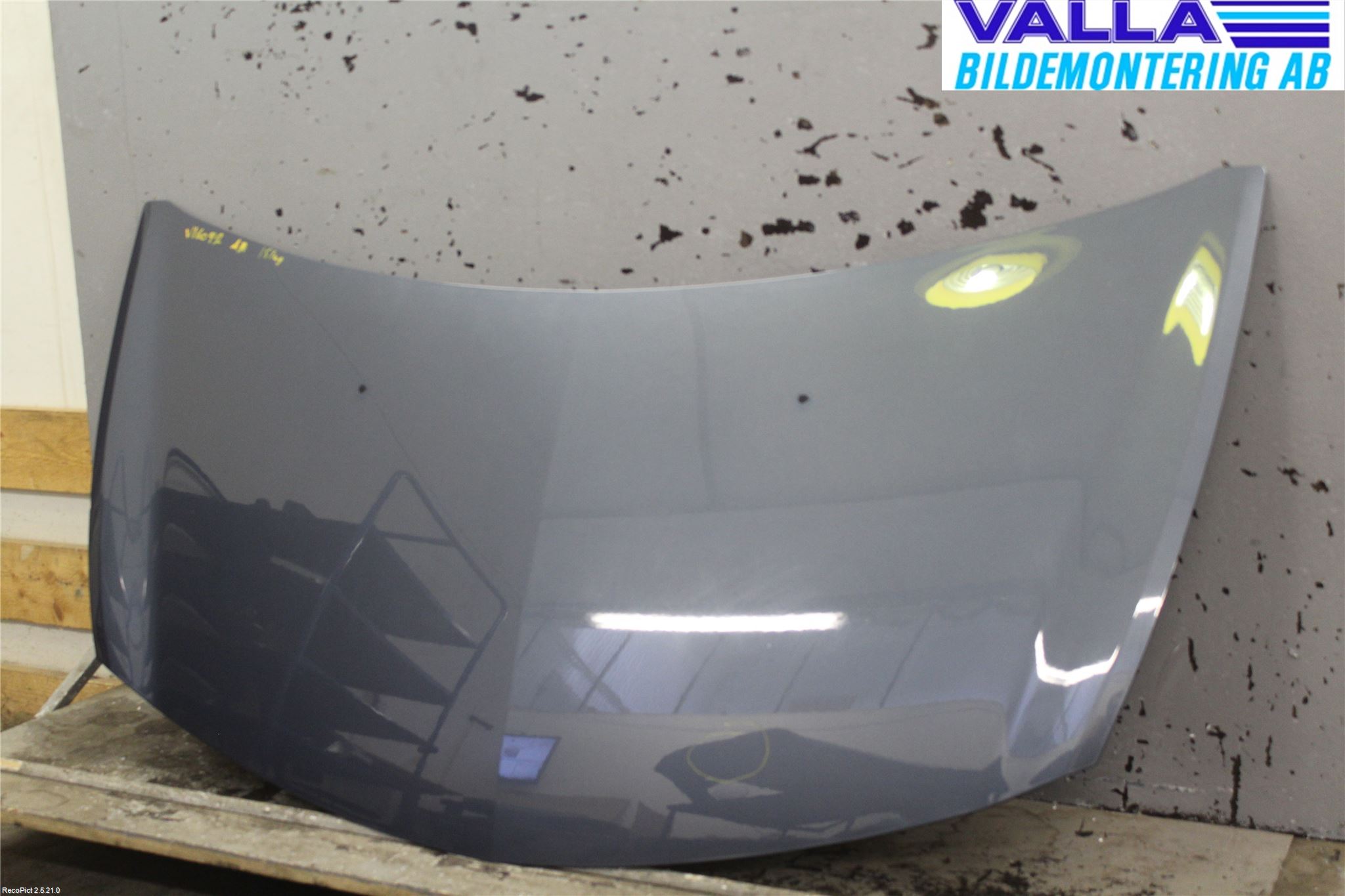 Renault CLIO III  09-12 Panser