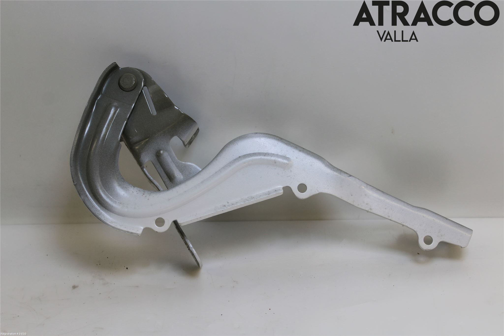 Citroen COTROEN C3 17-24 Panser Hengsel - Hengsler