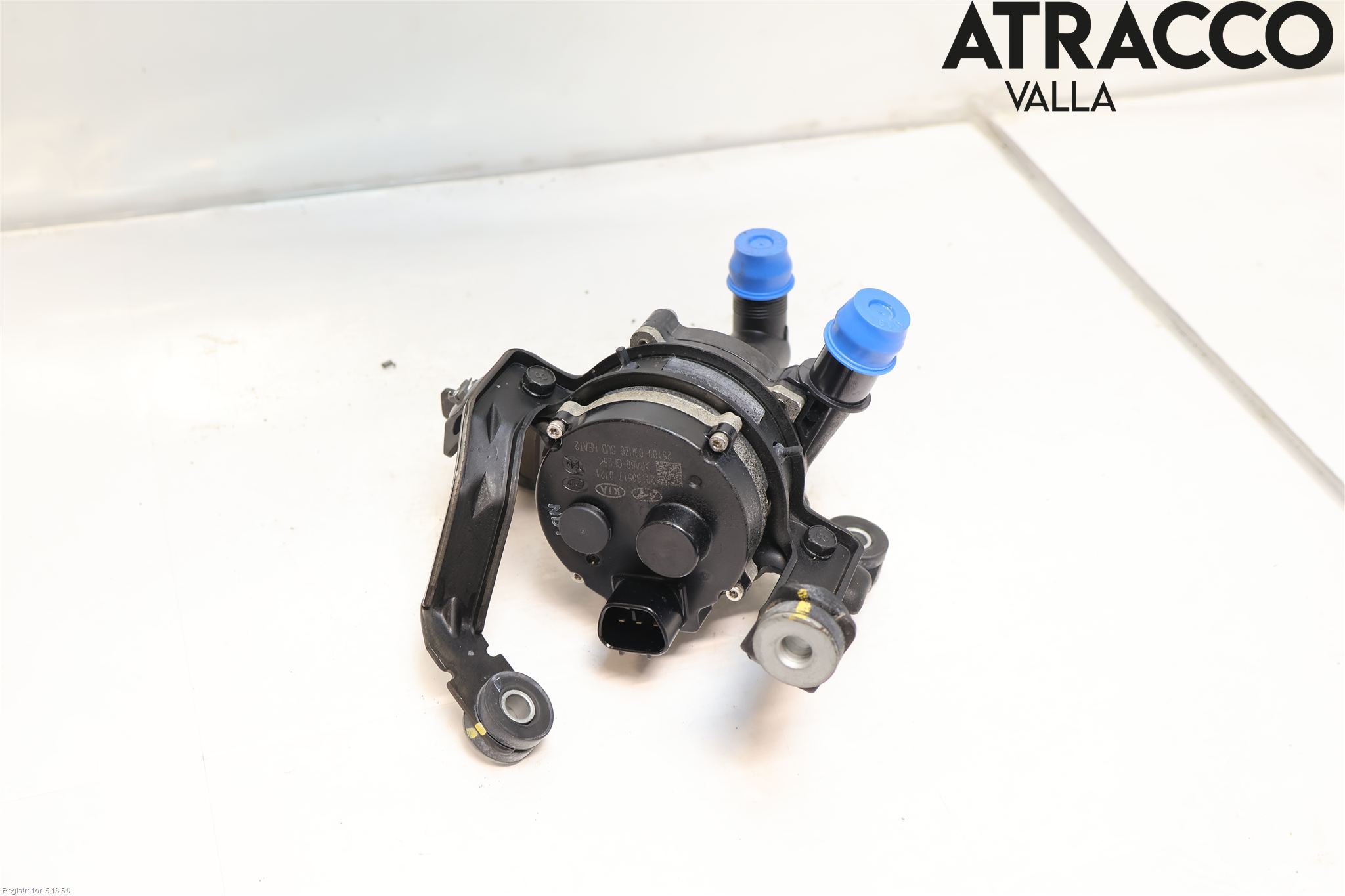 Kia NIRO (DE) 17-22 Varme Sirkulasjonspumpe