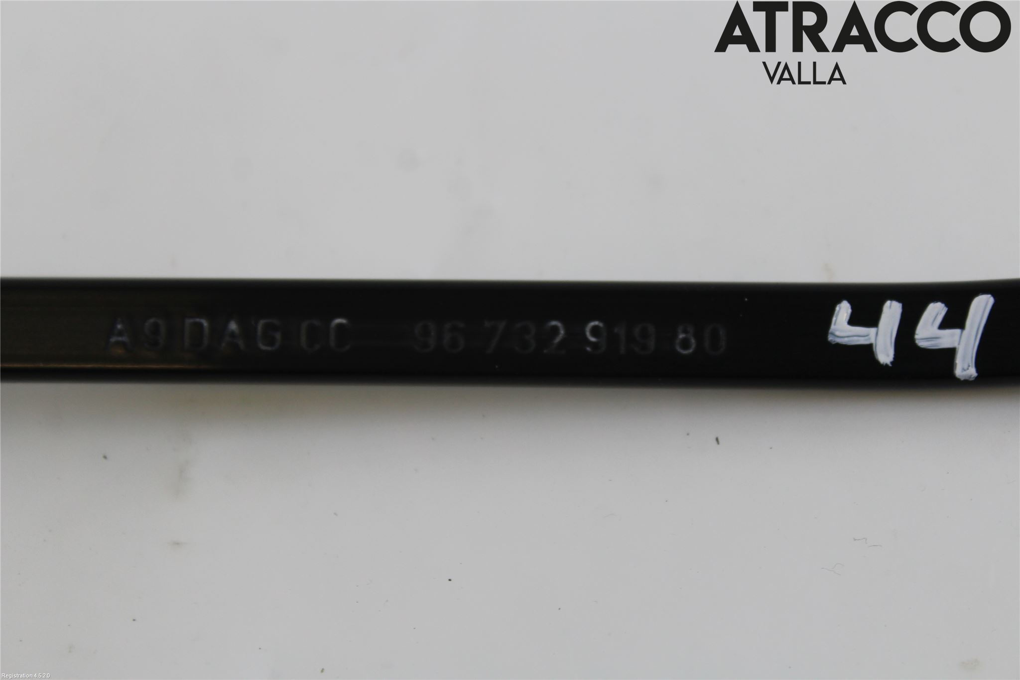 Citroen COTROEN C3 17-24 Viskerarm-Armer Frontrute