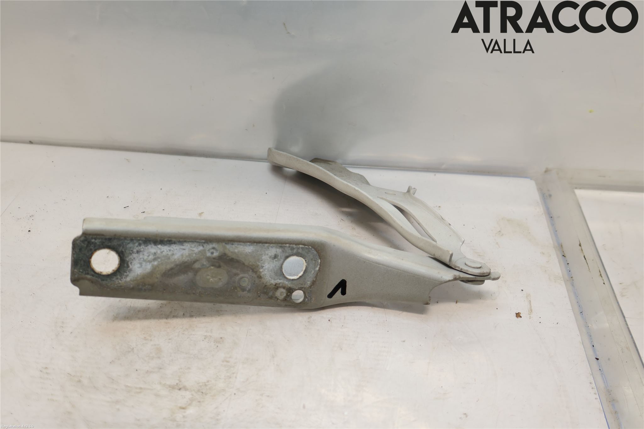 Volkswagen VW PASSAT 15-19 Panser Hengsel - Hengsler