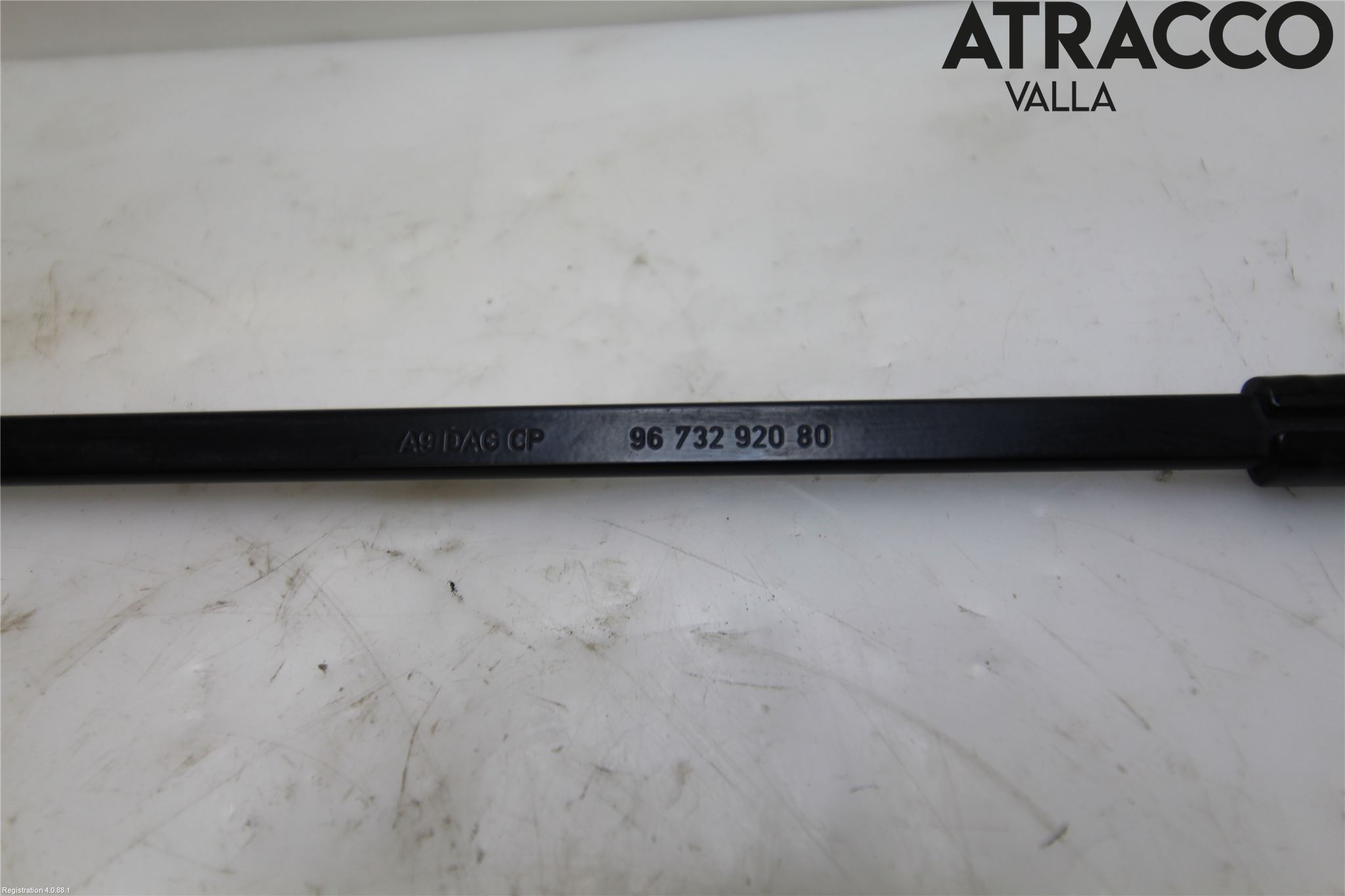 Citroen COTROEN C3 17-24 Viskerarm-Armer Frontrute