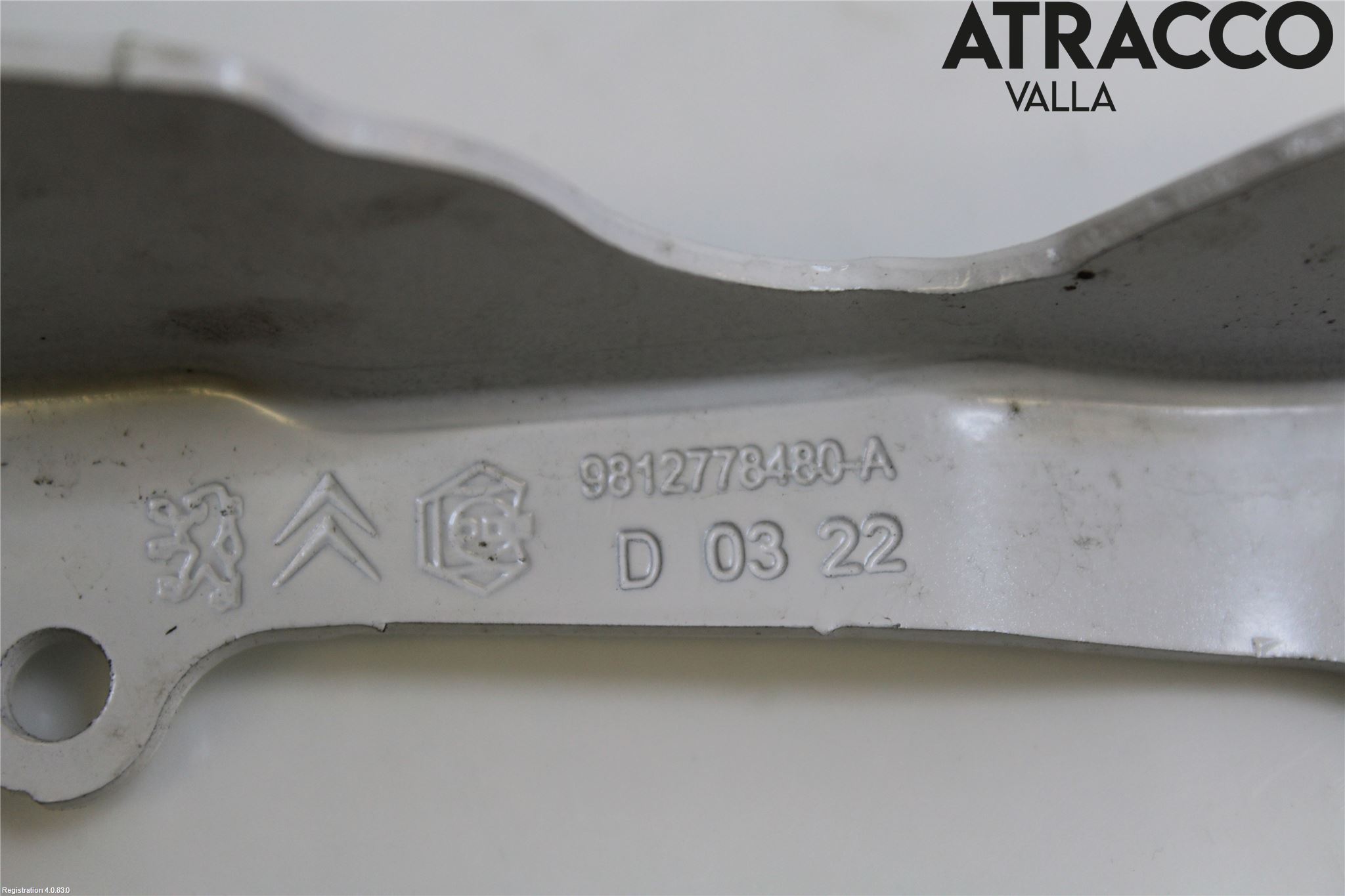 Citroen COTROEN C3 17-24 Panser Hengsel - Hengsler