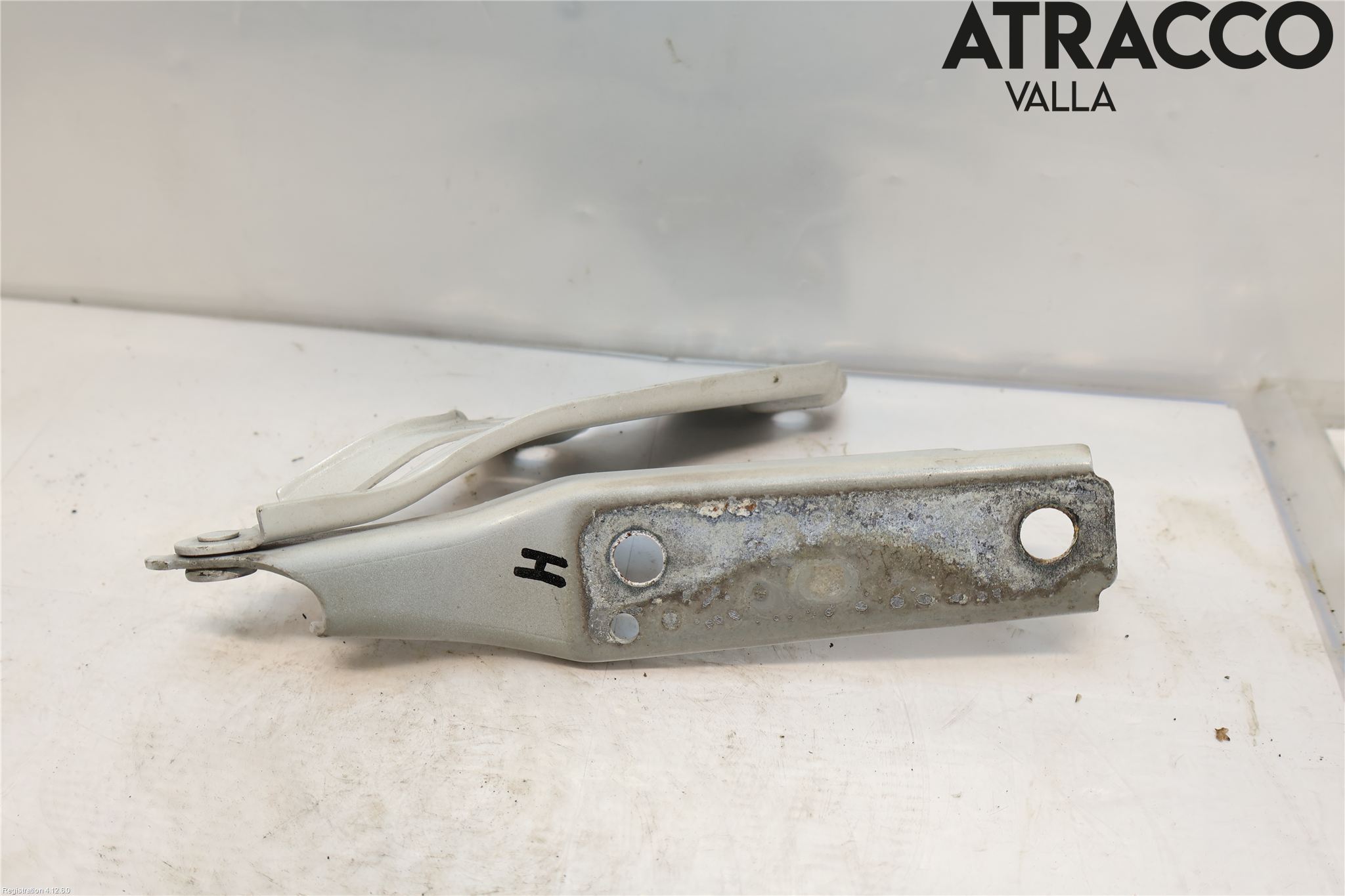 Volkswagen VW PASSAT 15-19 Panser Hengsel - Hengsler
