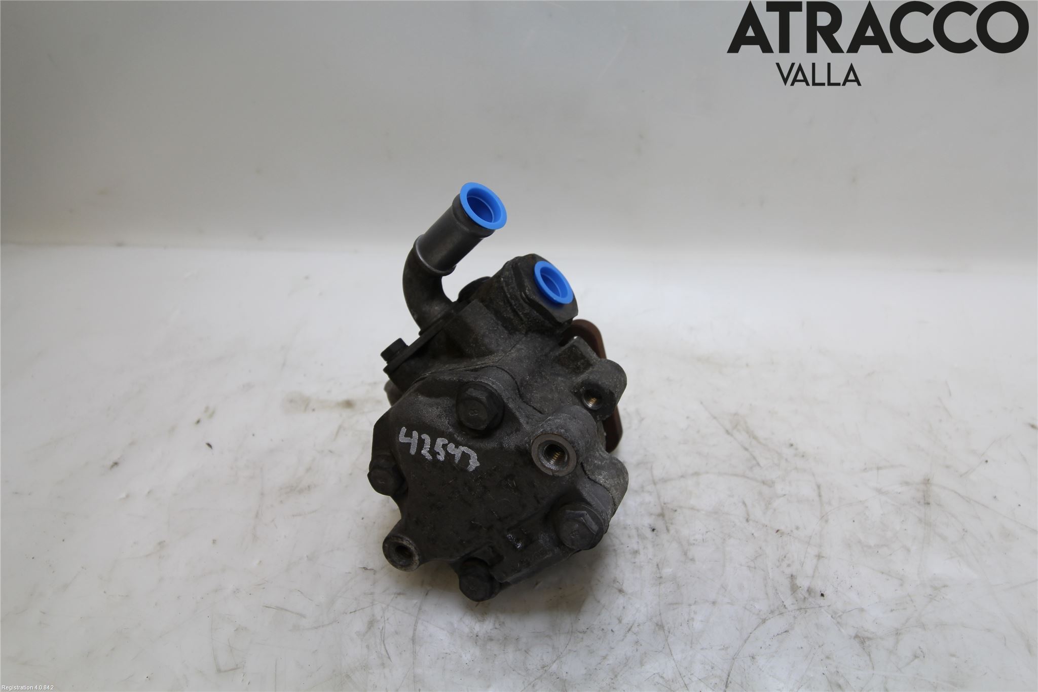Porsche CAYENNE 03- Servo Pumpe