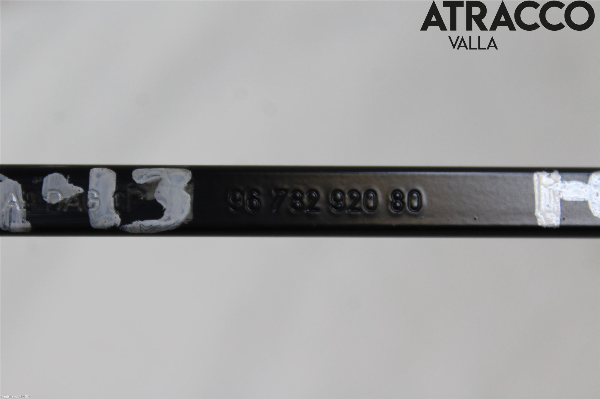 Citroen COTROEN C3 17-24 Viskerarm-Armer Frontrute