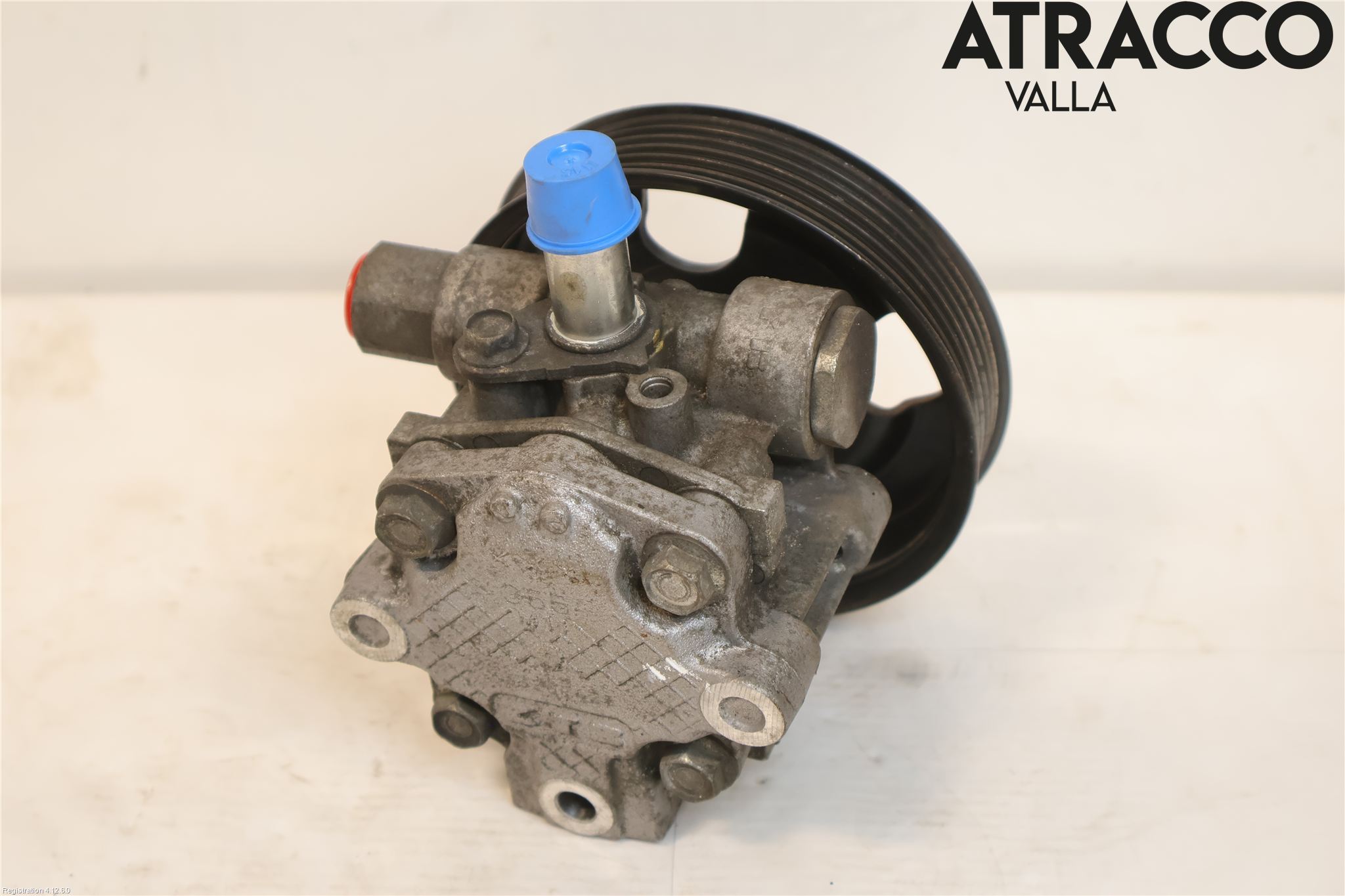 Fiat FREEMONT Servo Pumpe