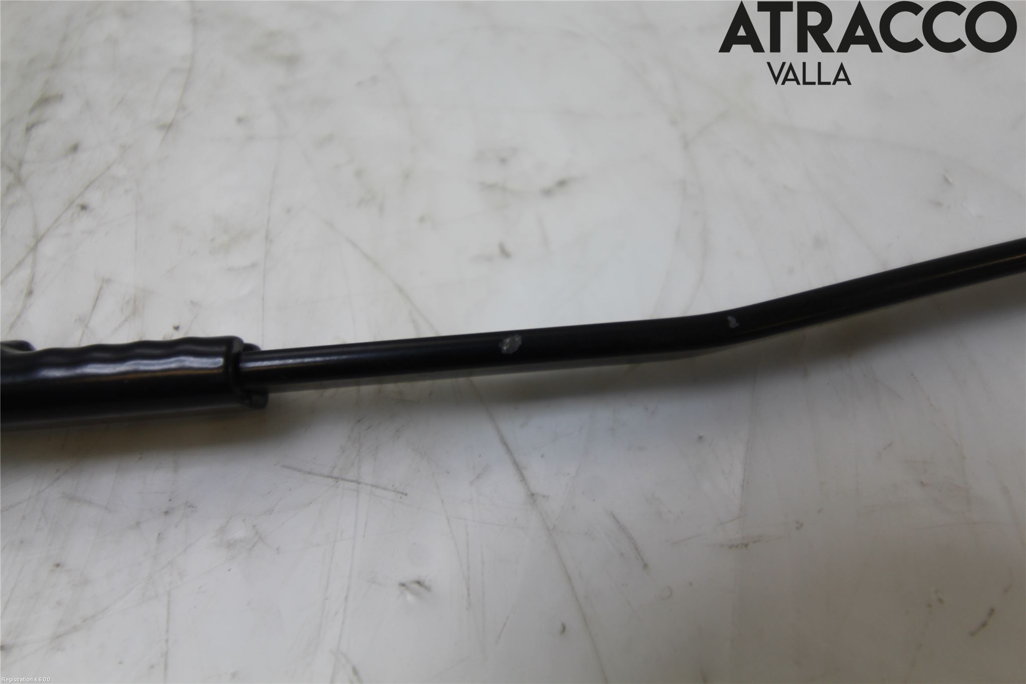 Ford FOCUS 15-18 Viskerarm-Armer Frontrute