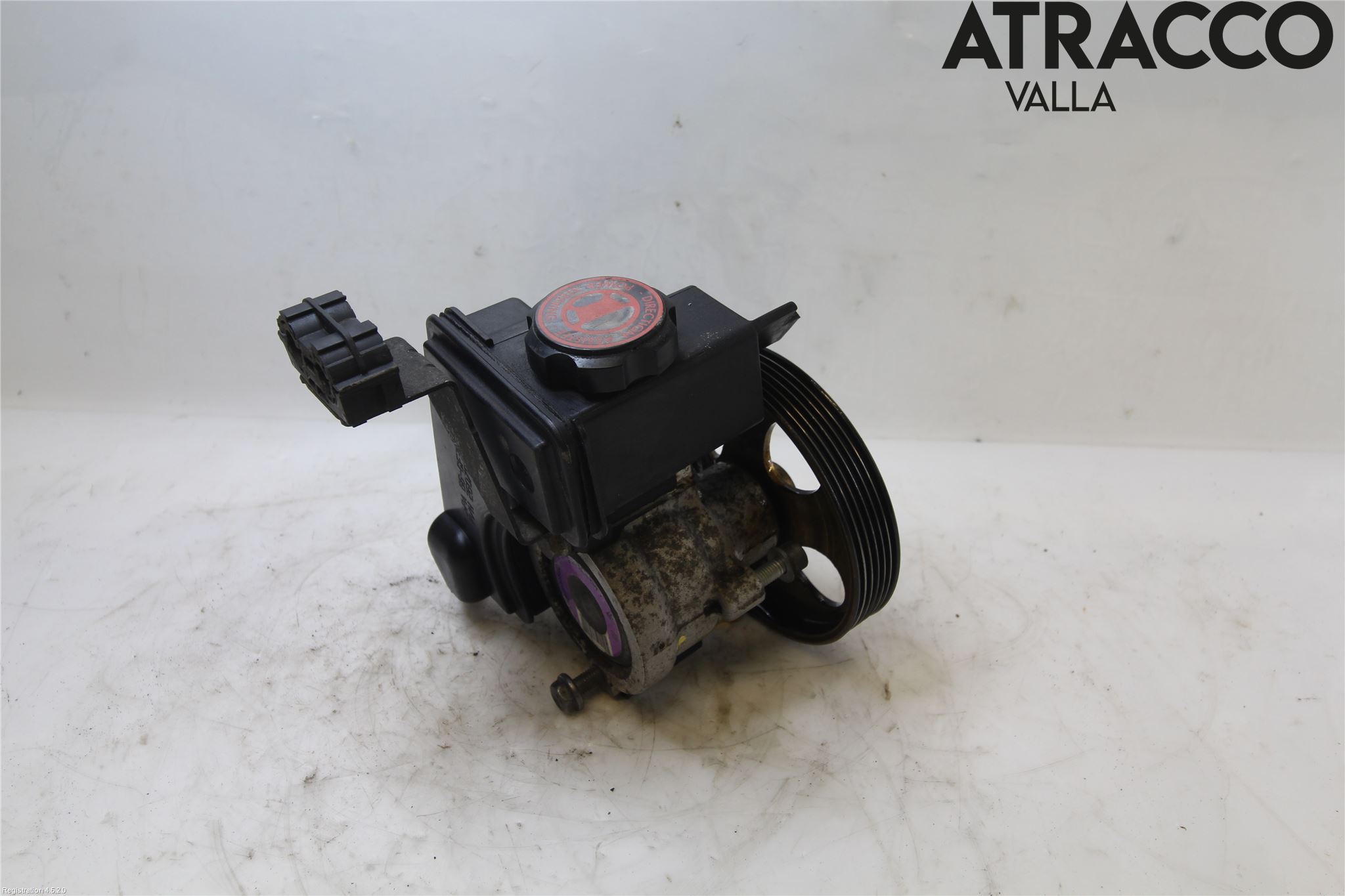 Peugeot 206 98-09 Servo Pumpe